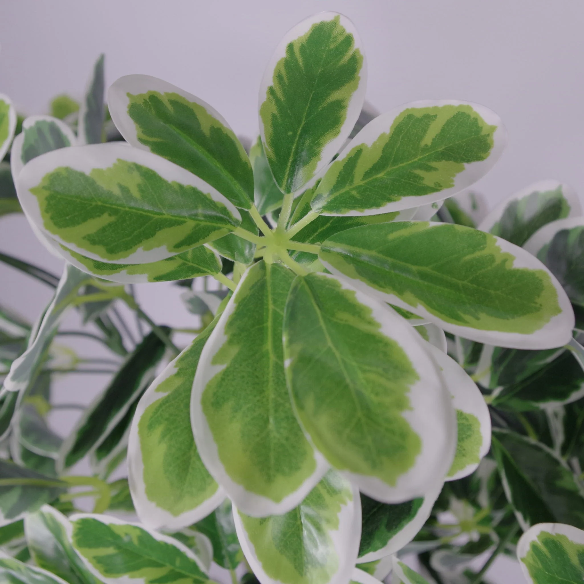 100cm Artificial Umbrella Tree Ficus Indoor Plant - Extra Large - Image 2