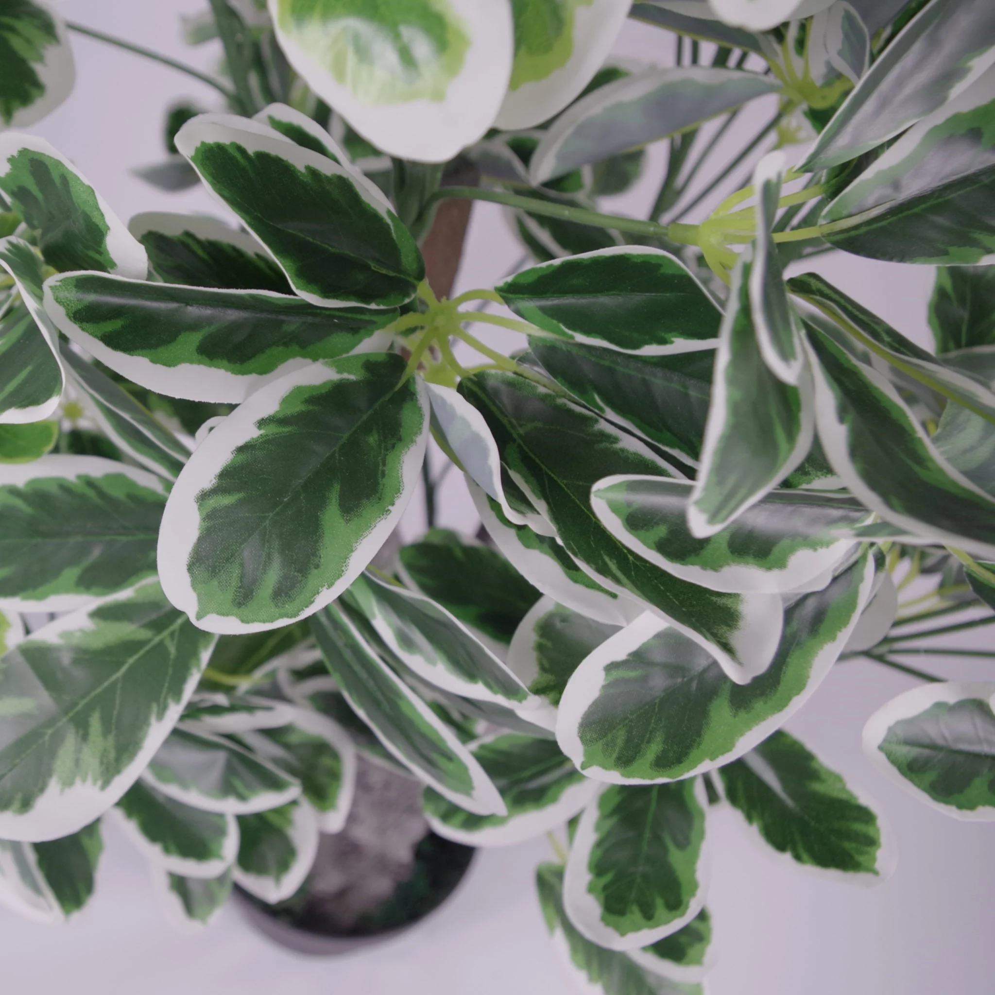 100cm Artificial Umbrella Tree Ficus Indoor Plant - Extra Large - Image 3