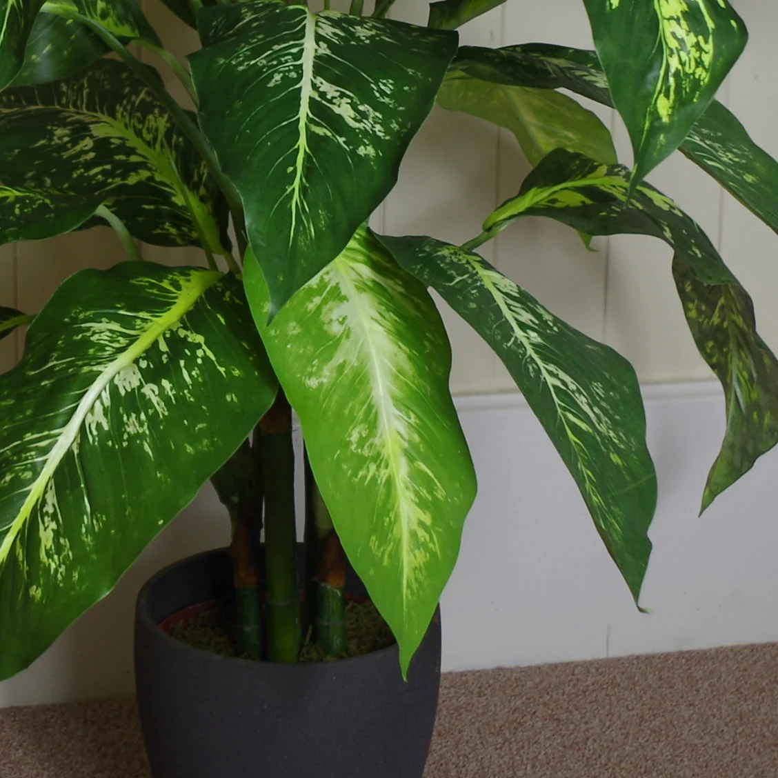 100cm Large Foxs Aglaonema (Spotted Evergreen) Tree Artificial Plant with Silver Metal Planter - Image 4