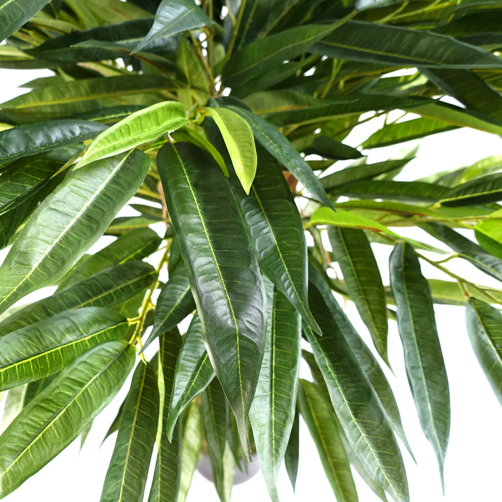 100cm Longifolia Ficus Tree Artificial Natural Trunk - Image 2