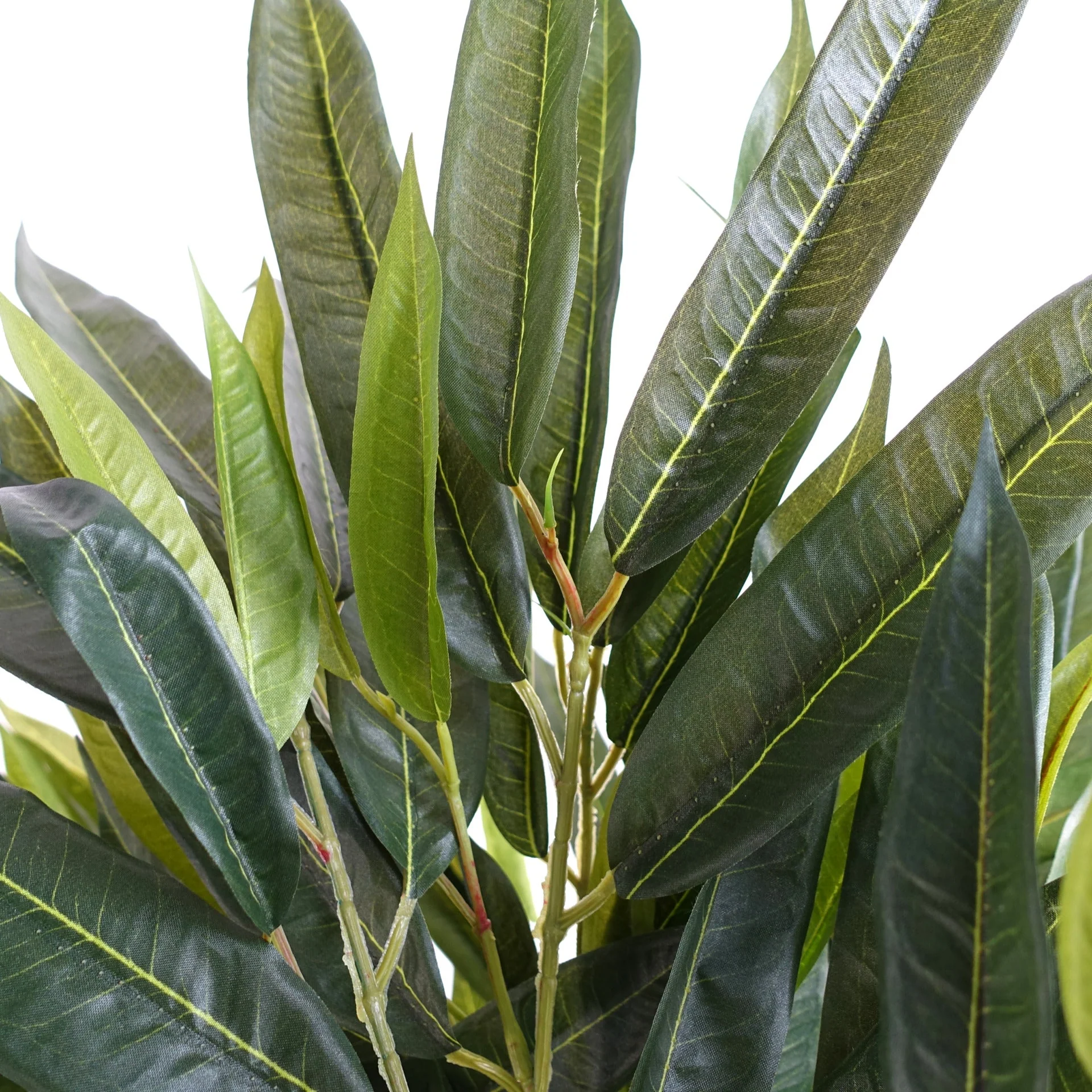 100cm Longifolia Ficus Tree Artificial Natural Trunk - Image 3