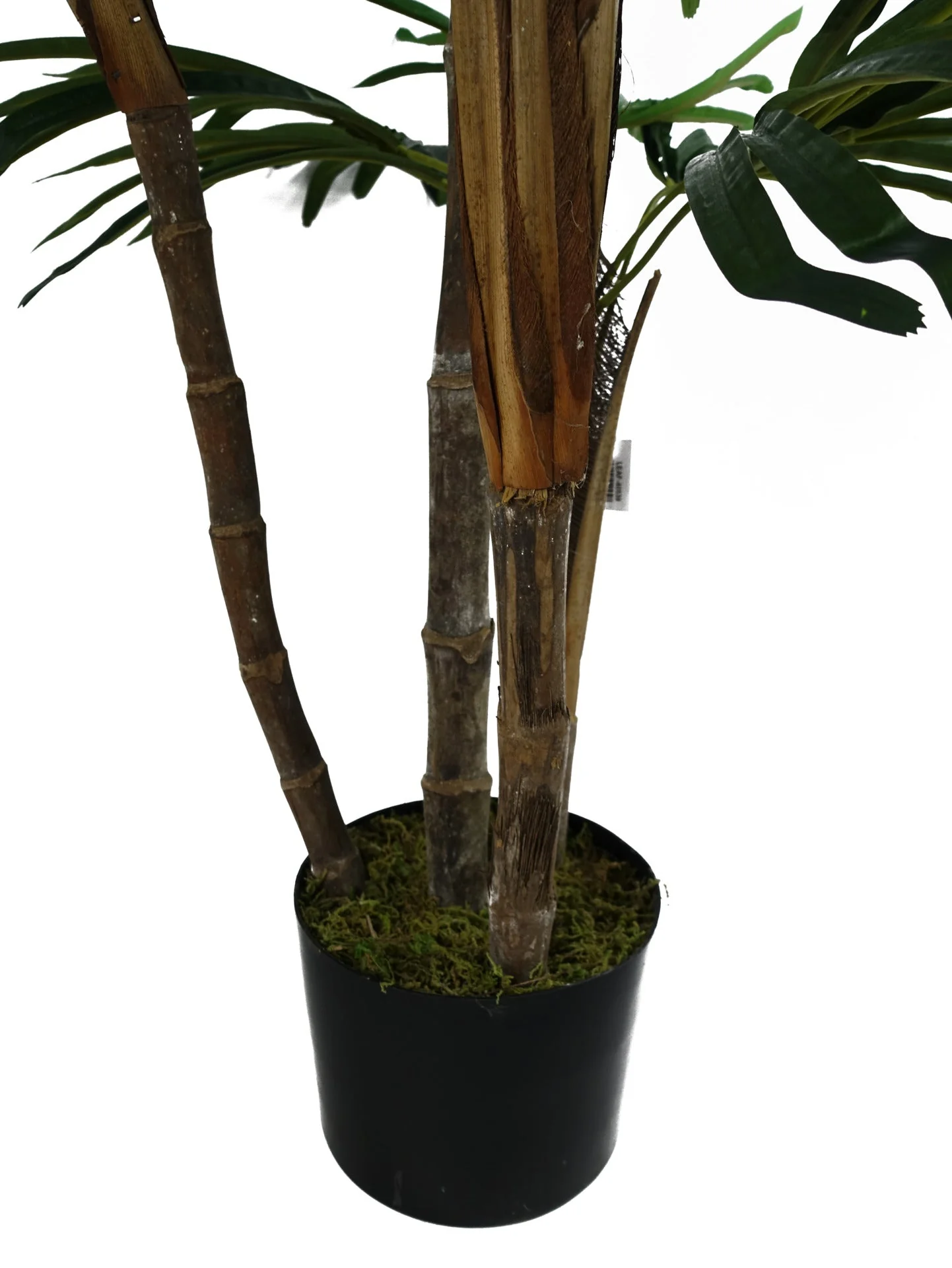 100cm Raphis Palm Artificial Tree - Image 4