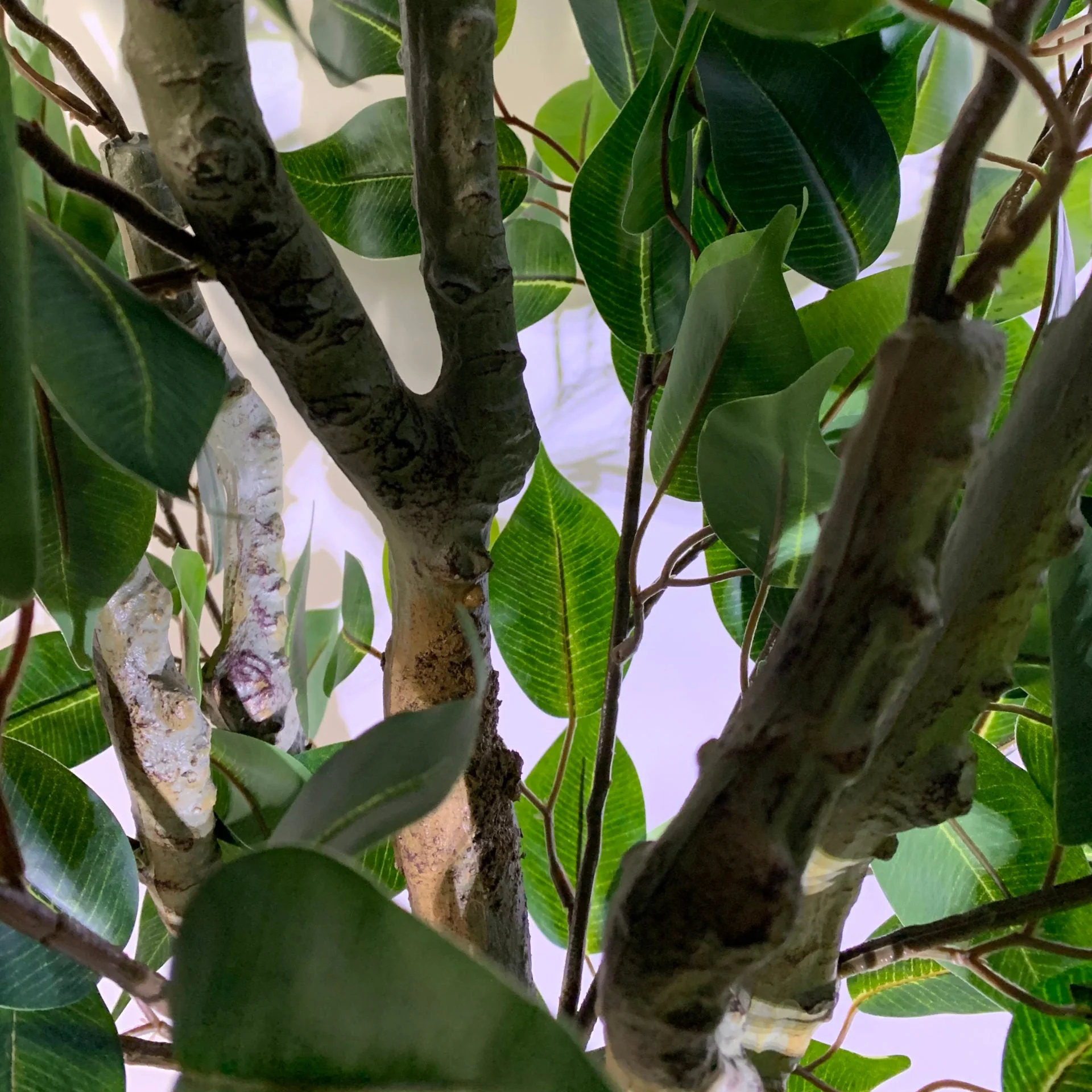 110cm Artificial Evergreen Ficus Tree - Image 2