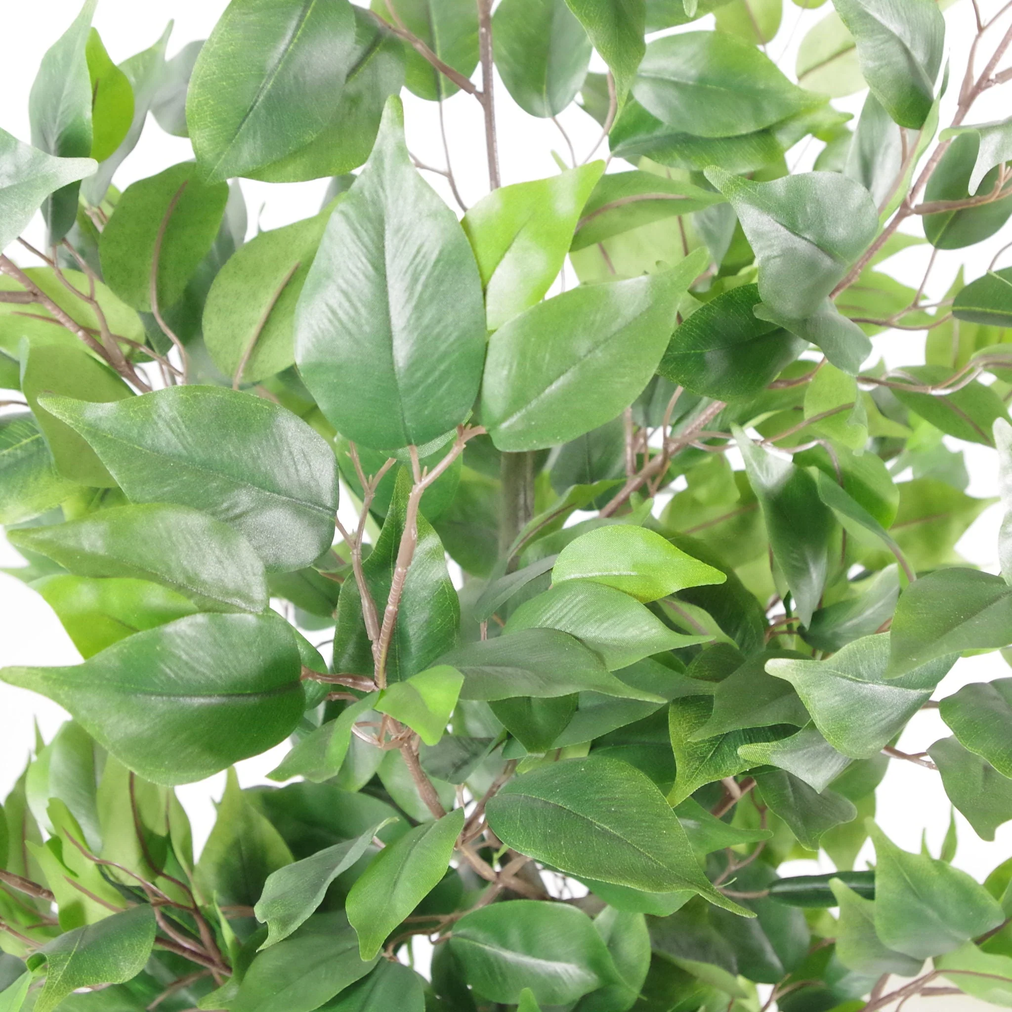 110cm Artificial Evergreen Ficus Tree - Image 3