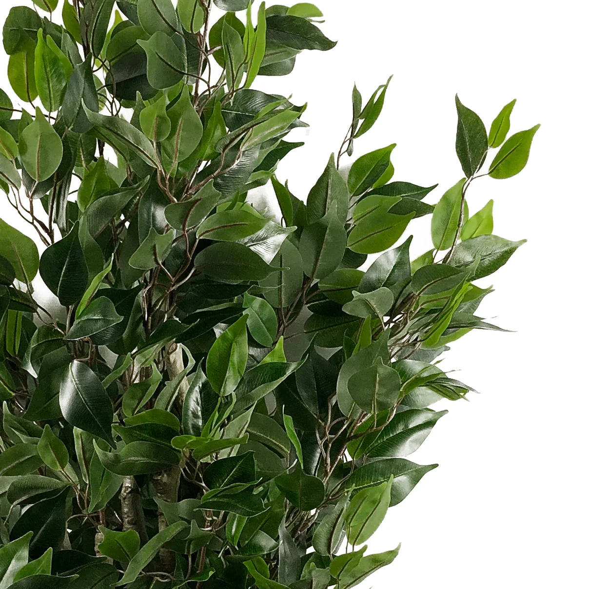 110cm Artificial Evergreen Ficus Tree Copper Curve Planter - Image 4