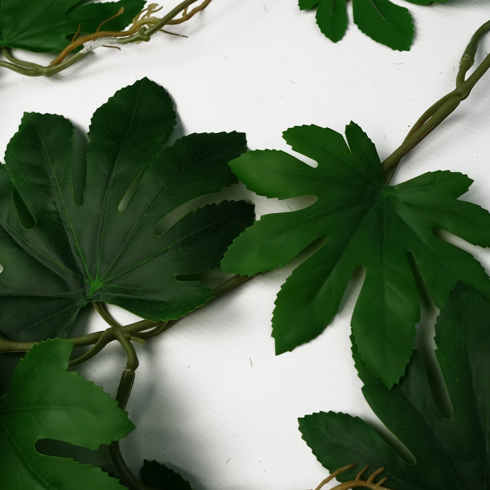 110cm Artificial Hanging Trailing Aralia Plant - Image 3