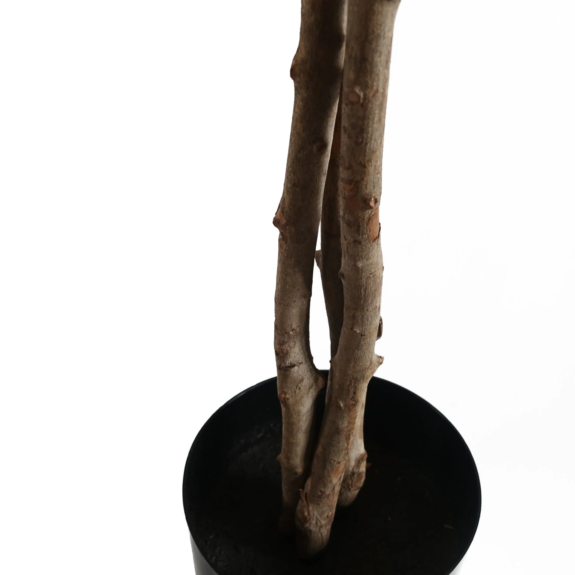 120cm Artificial Forsythia Tree - Image 4
