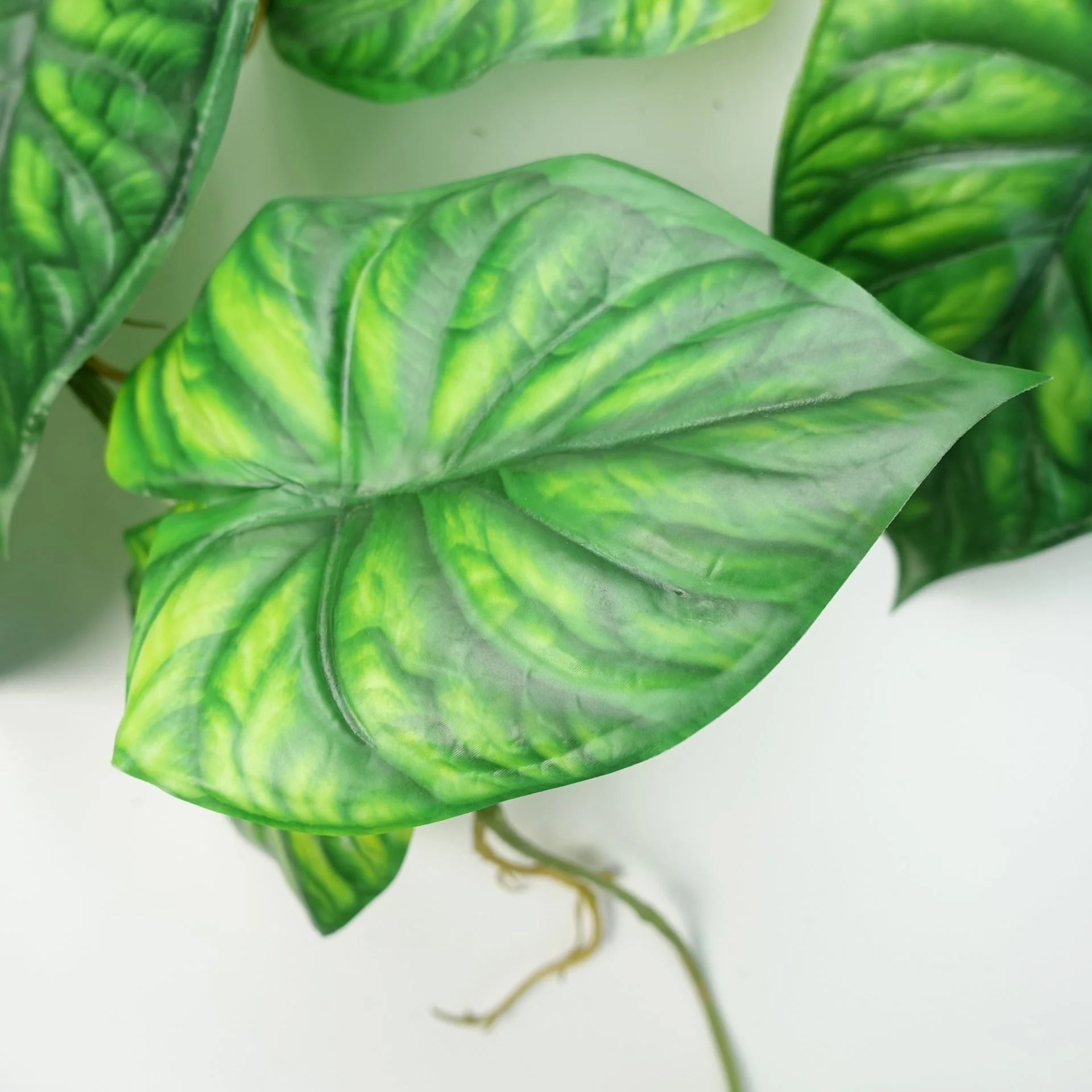 120cm Artificial Hanging Trailing Plant Alocasia Dragon Scale Green - Image 3