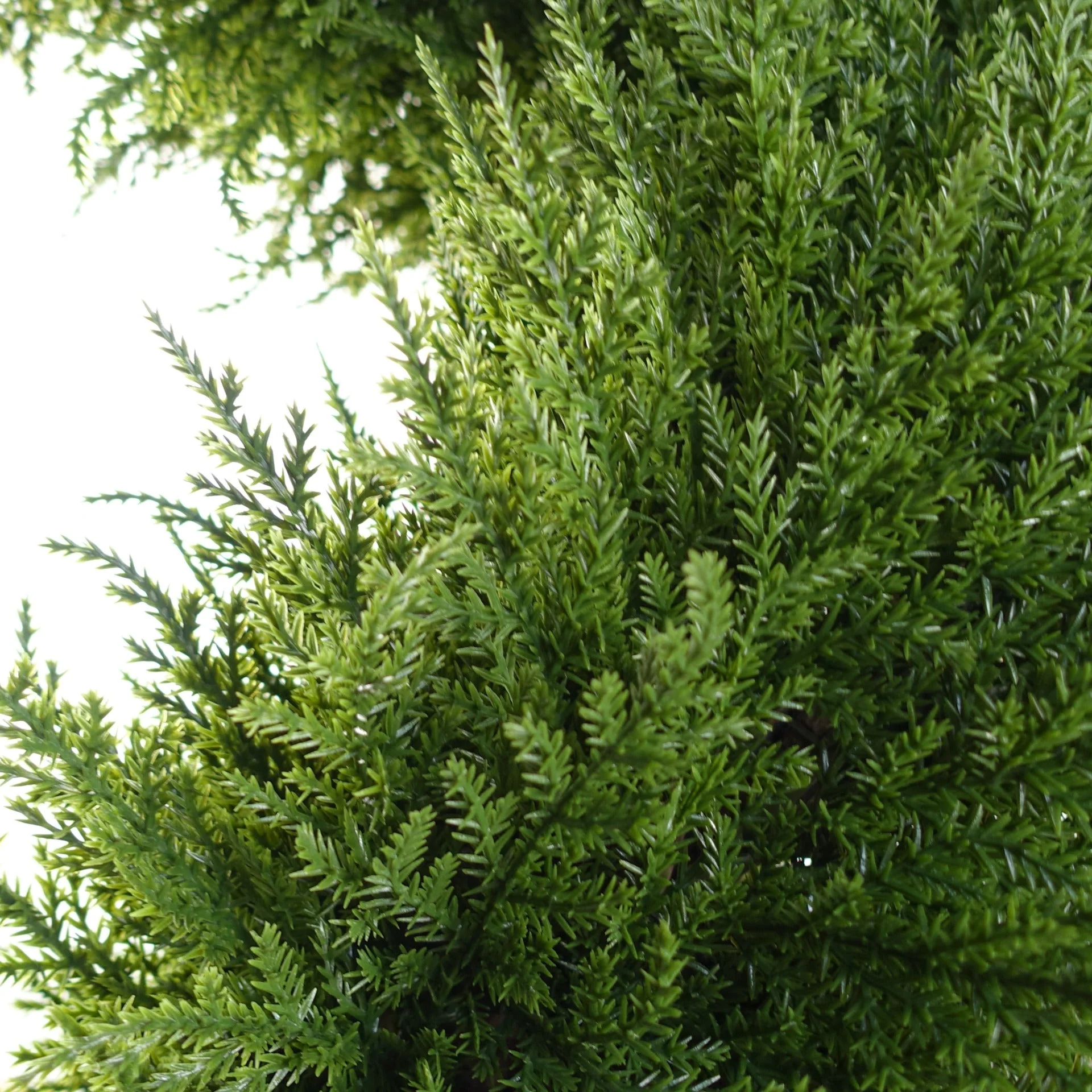 120cm Sprial Cypress Tree Artificial Topiary - Image 3