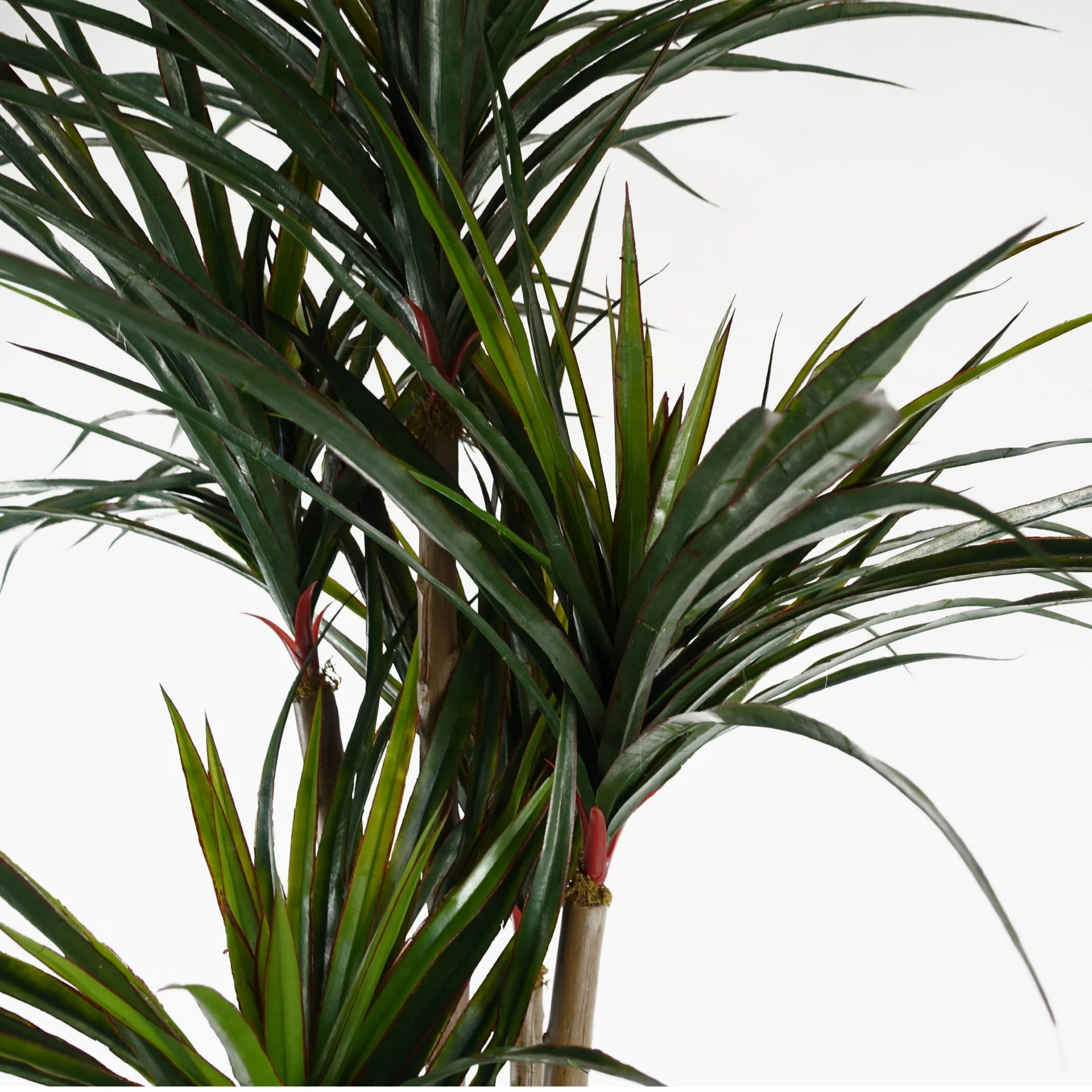 120cm UV Resistant Yucca - 238 Leaves - Image 2