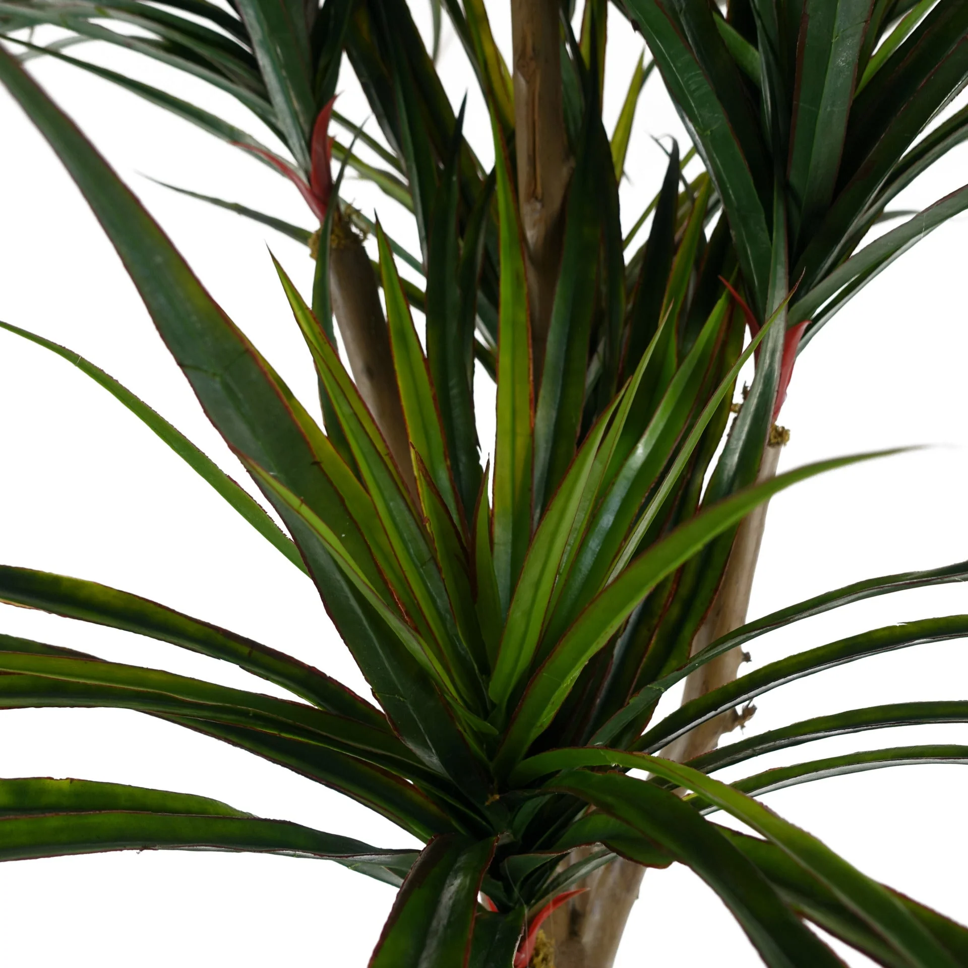 120cm UV Resistant Yucca - 238 Leaves - Image 3
