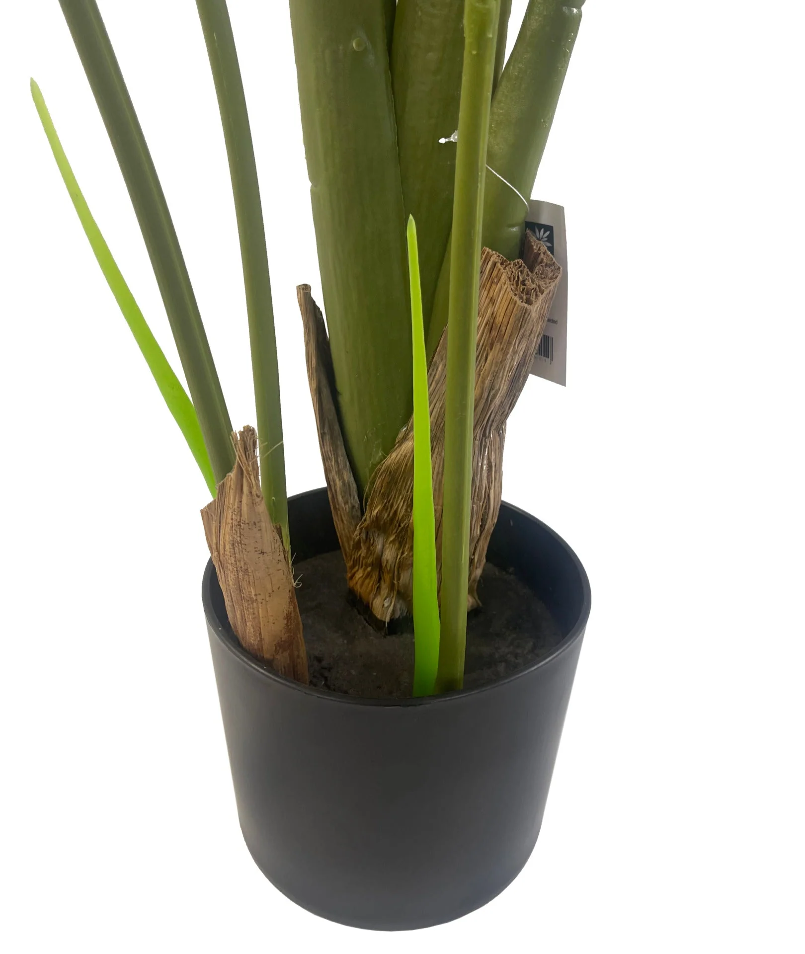 120cm UV Traveller Banana Palm Tree - Image 4