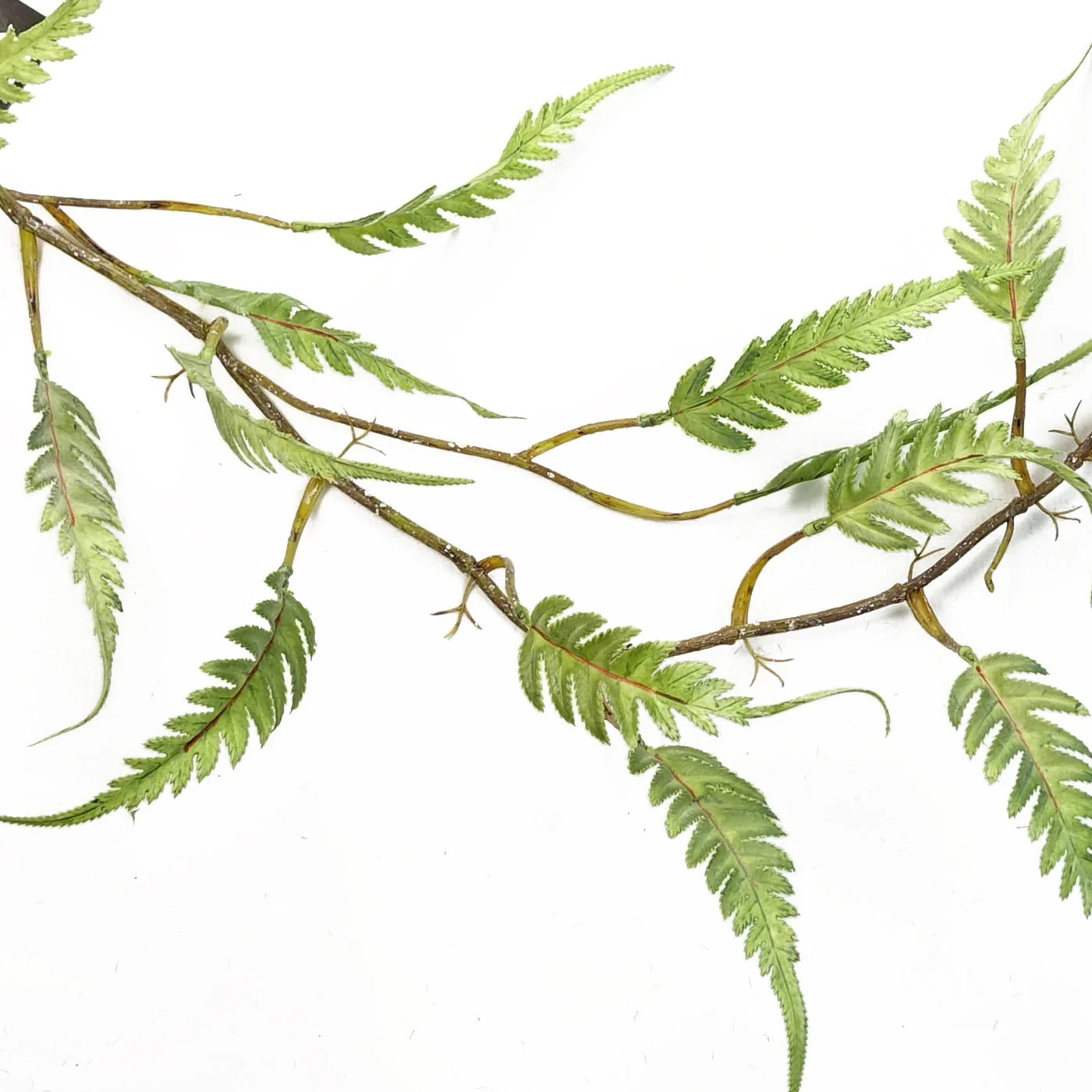 125cm Artificial Hanging Trailing Fern Plant - Image 2