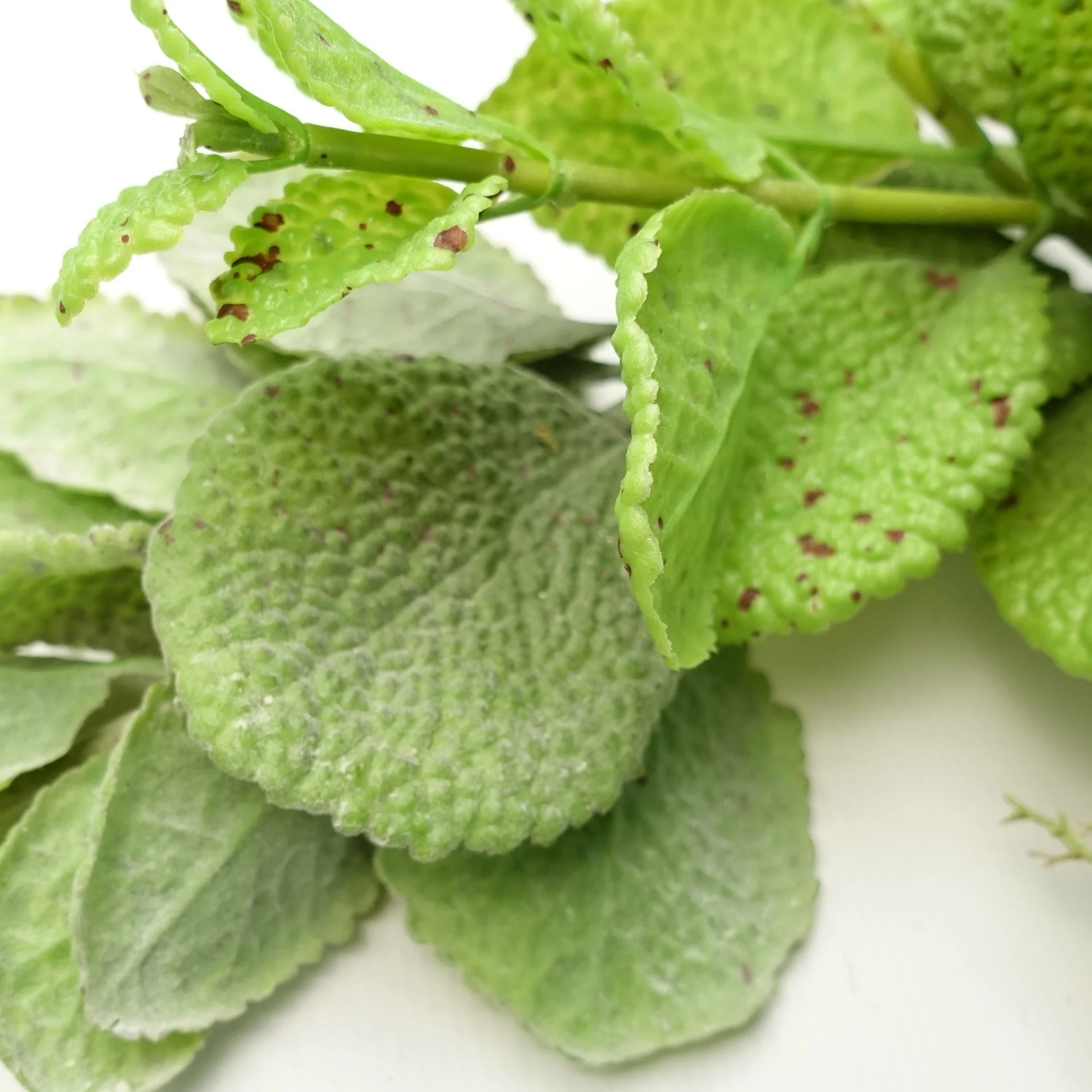 125cm Artificial Hanging Trailing Mint Leaf Garland Plant - Image 2