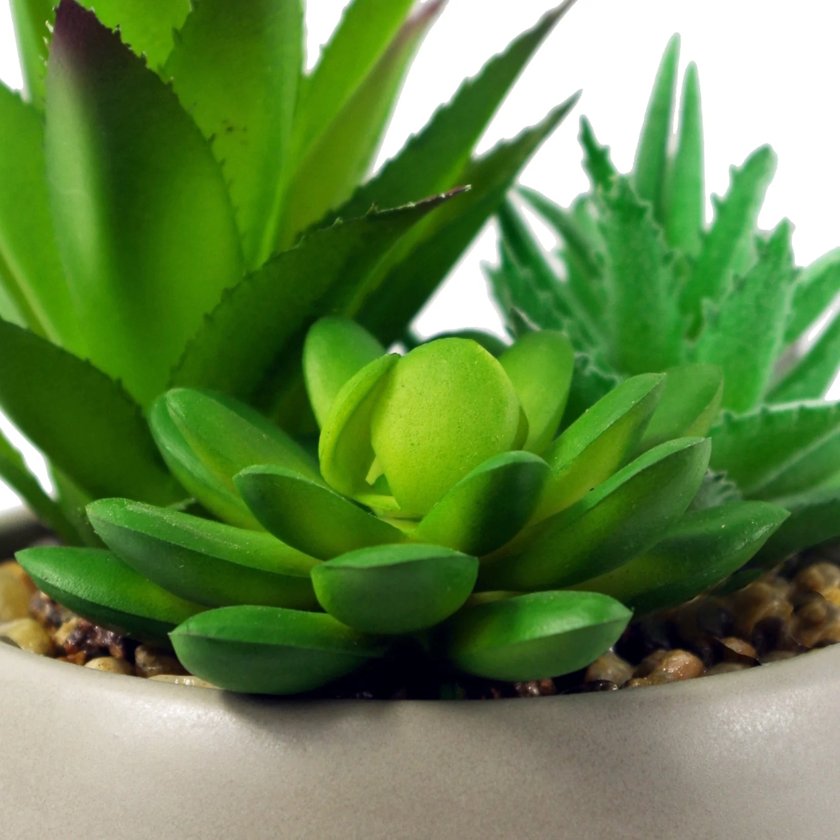 12cm Ceramic Pebble Grey Planter with Three Artificial Succulent Plants - Image 2