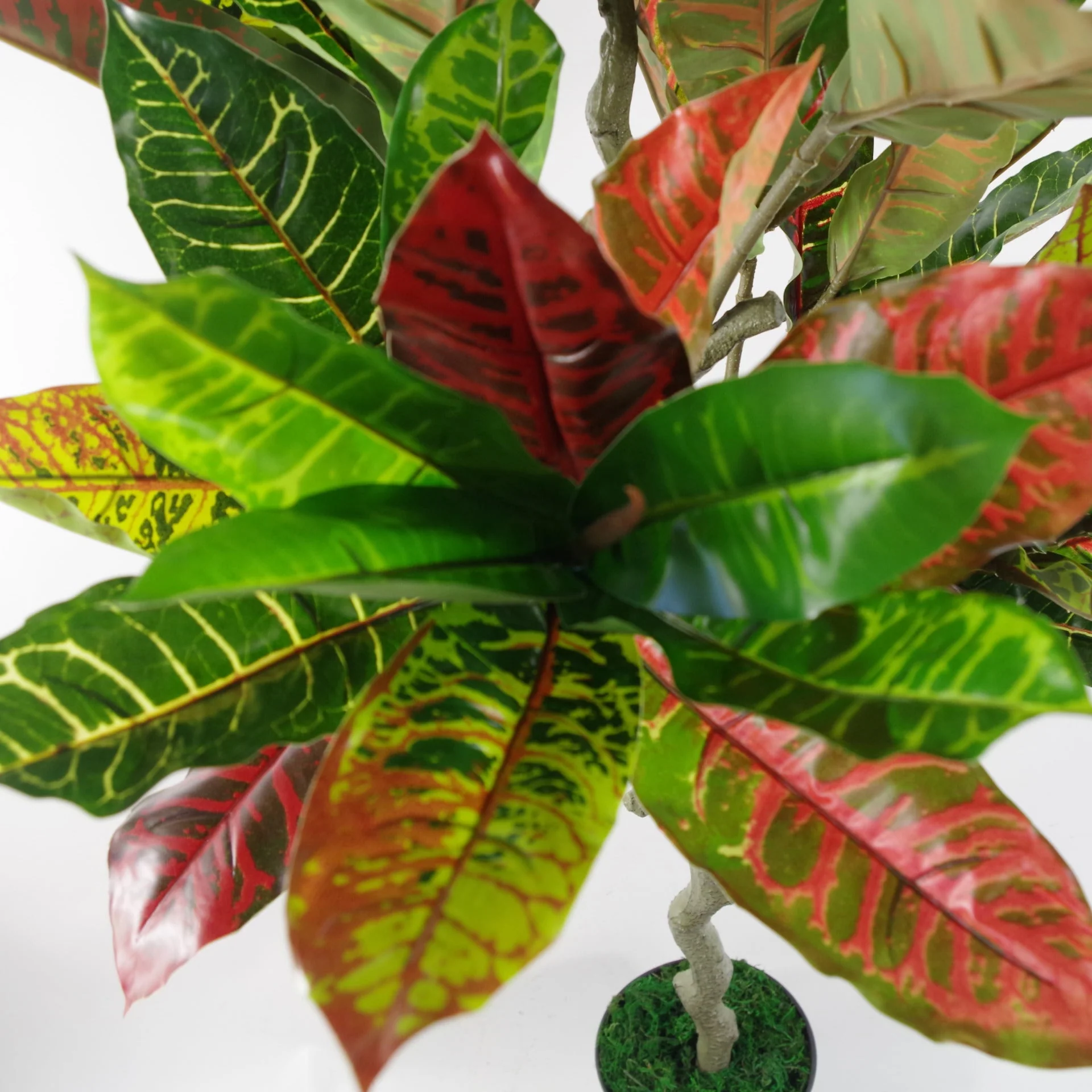 130cm Artificial Codiaeum Multicoloured House Plant - Image 2