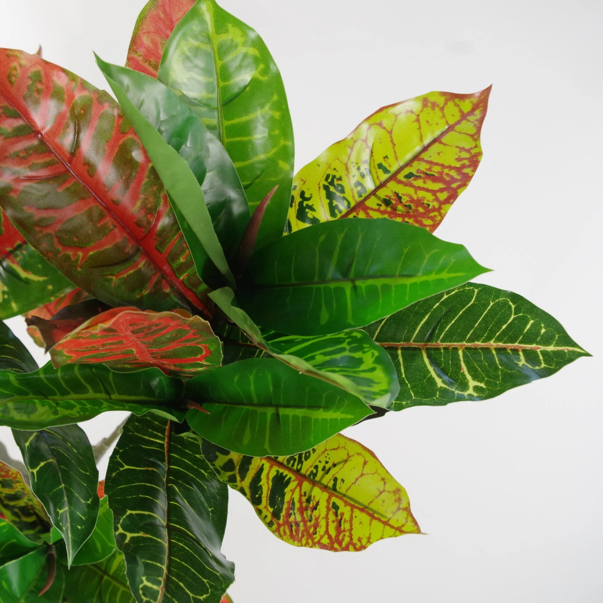 130cm Artificial Codiaeum Multicoloured House Plant - Image 3
