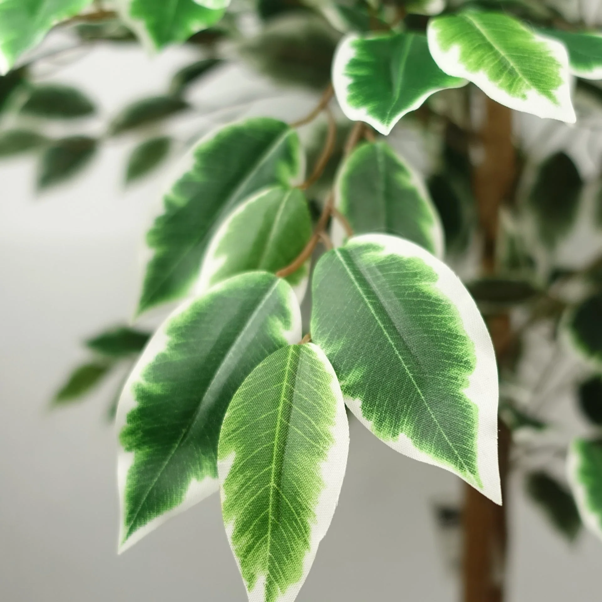 150cm Artificial Ficus Tree 1008 Silk Leaves - Image 2