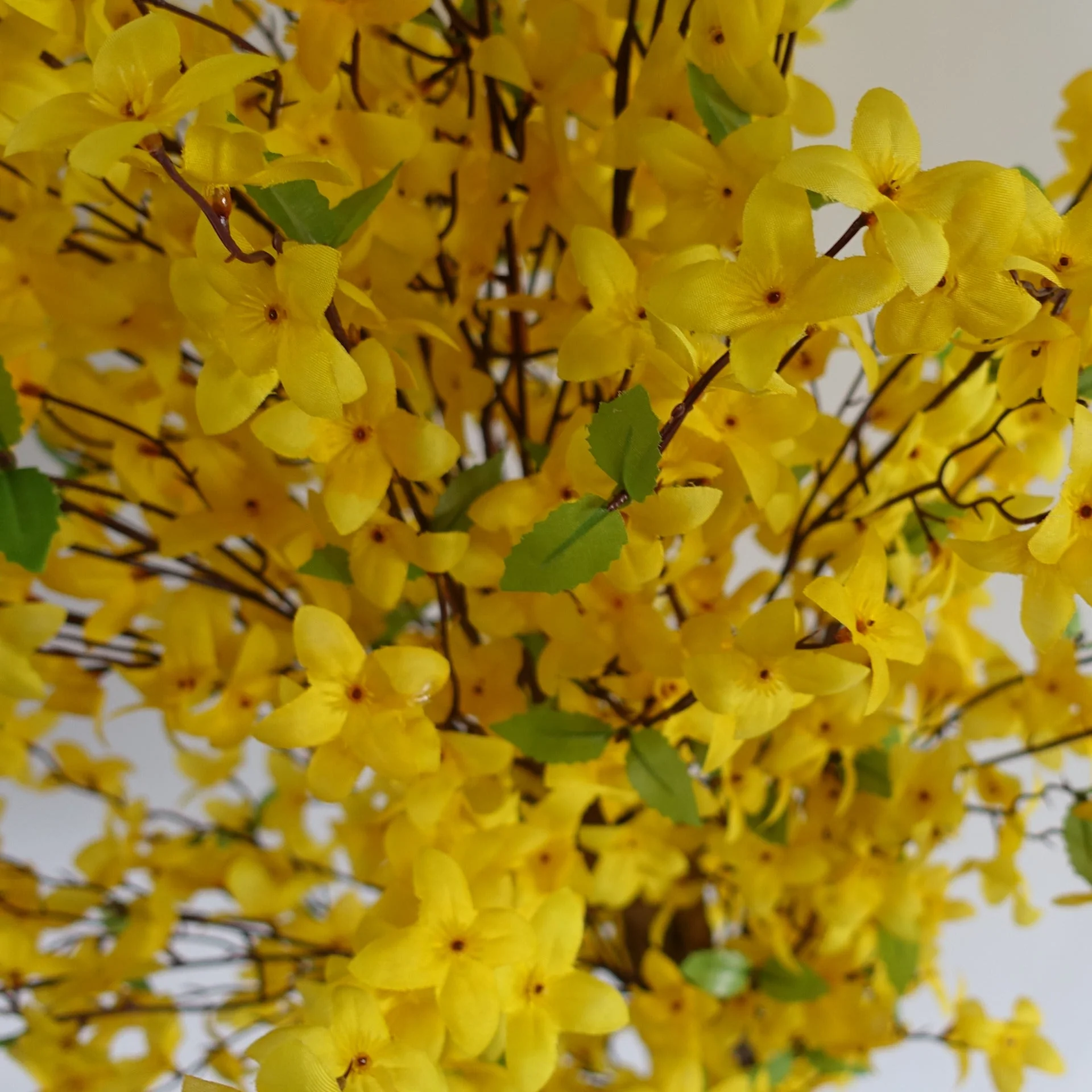 150cm Artificial Forsythia Tree Yellow Blossom - Image 3