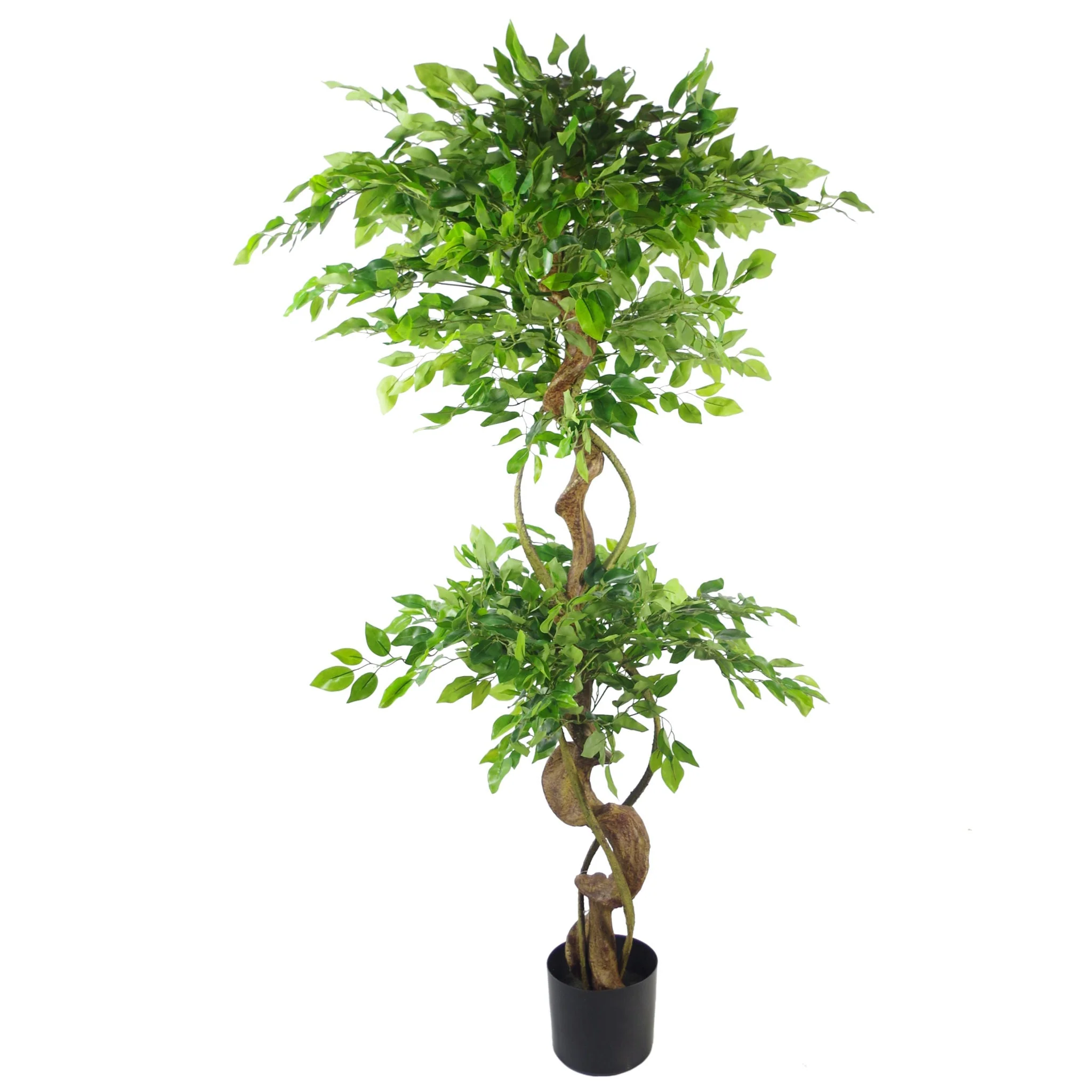 150cm Twisted Trunk Artificial Japanese Fruticosa Ficus Tree Gold Planter - Image 4