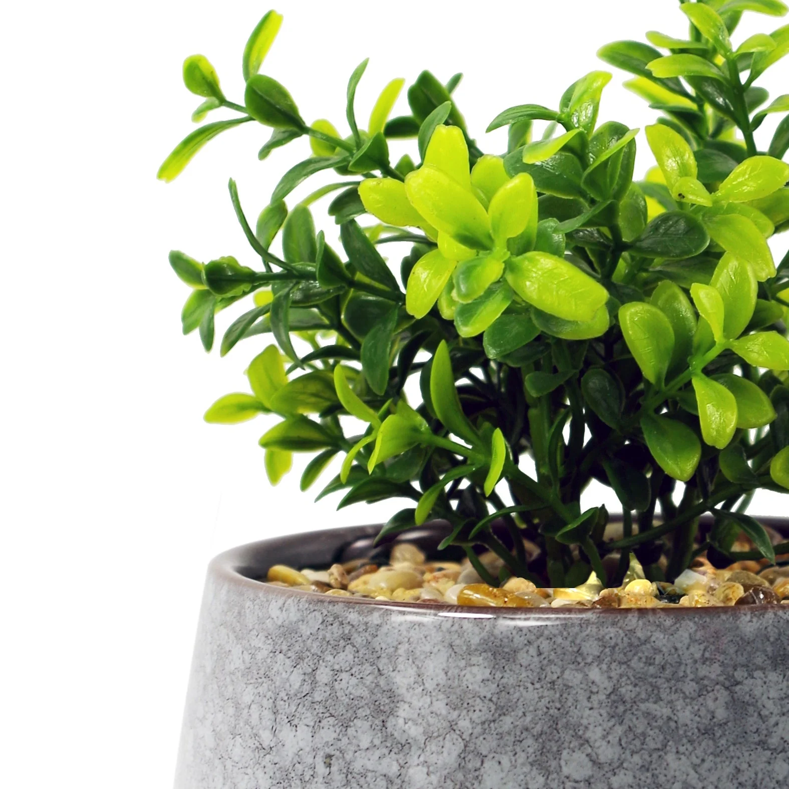 17cm Ceramic Tall Blue Planter with Artificial Crassula Plant - Image 2