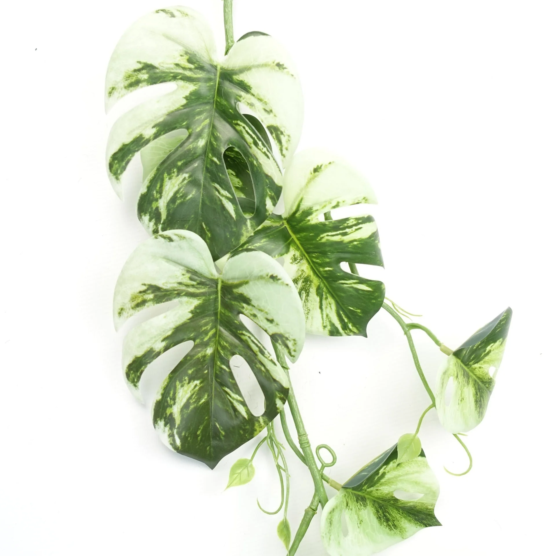 180cm Artificial Hanging Trailing Variegated Monstera Plant - Image 2