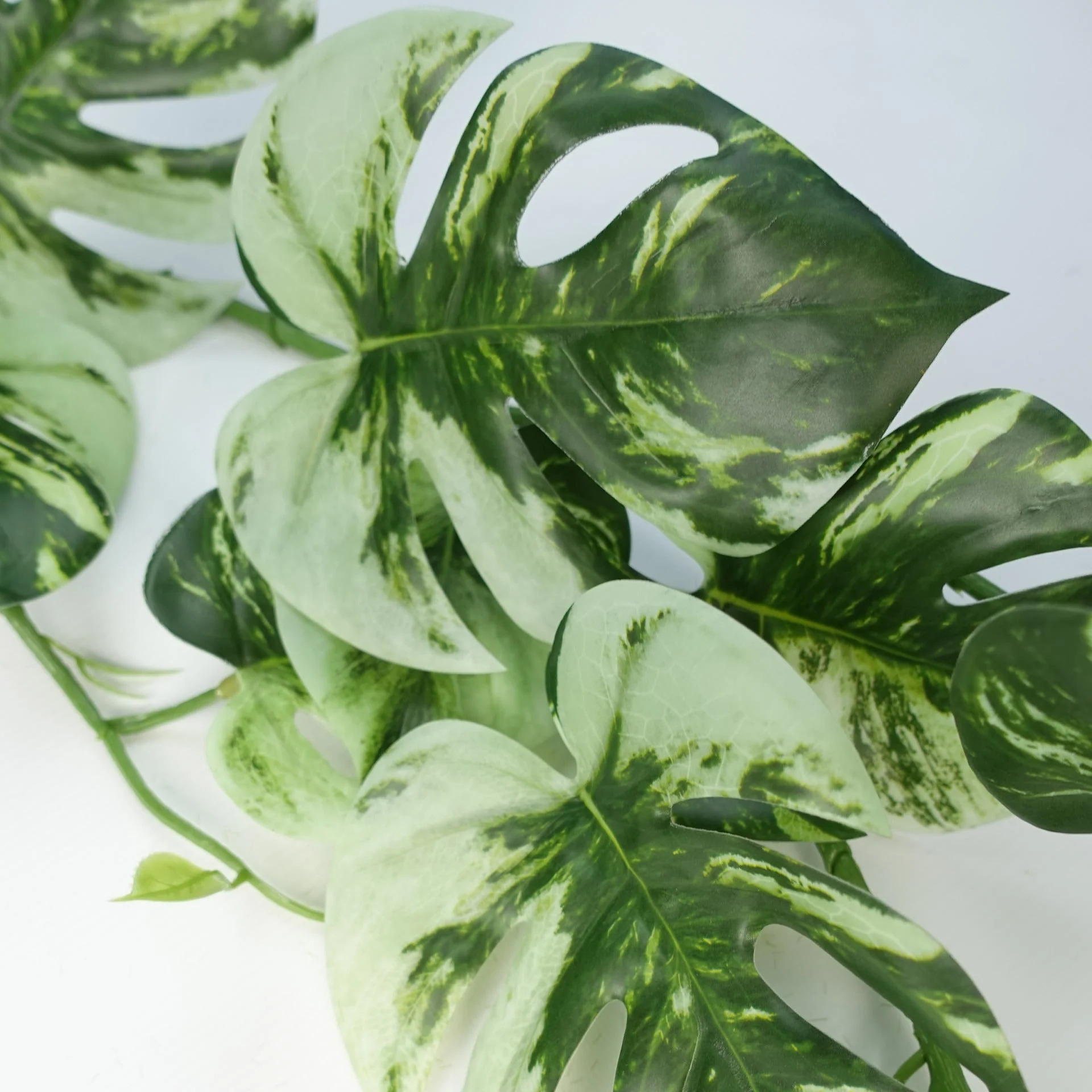 180cm Artificial Hanging Trailing Variegated Monstera Plant - Image 4