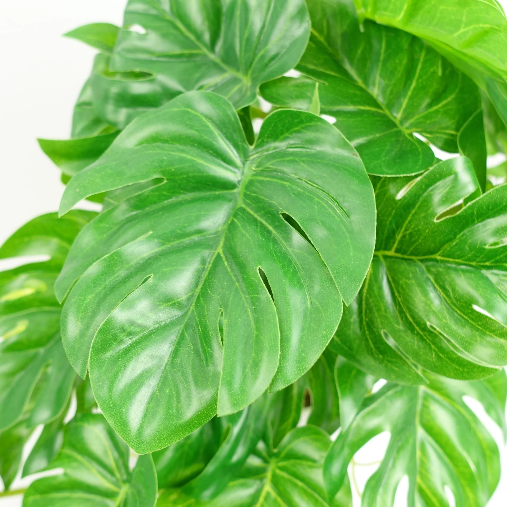 30cm Artificial Green Potted Monstera Trailing Plant - Image 2
