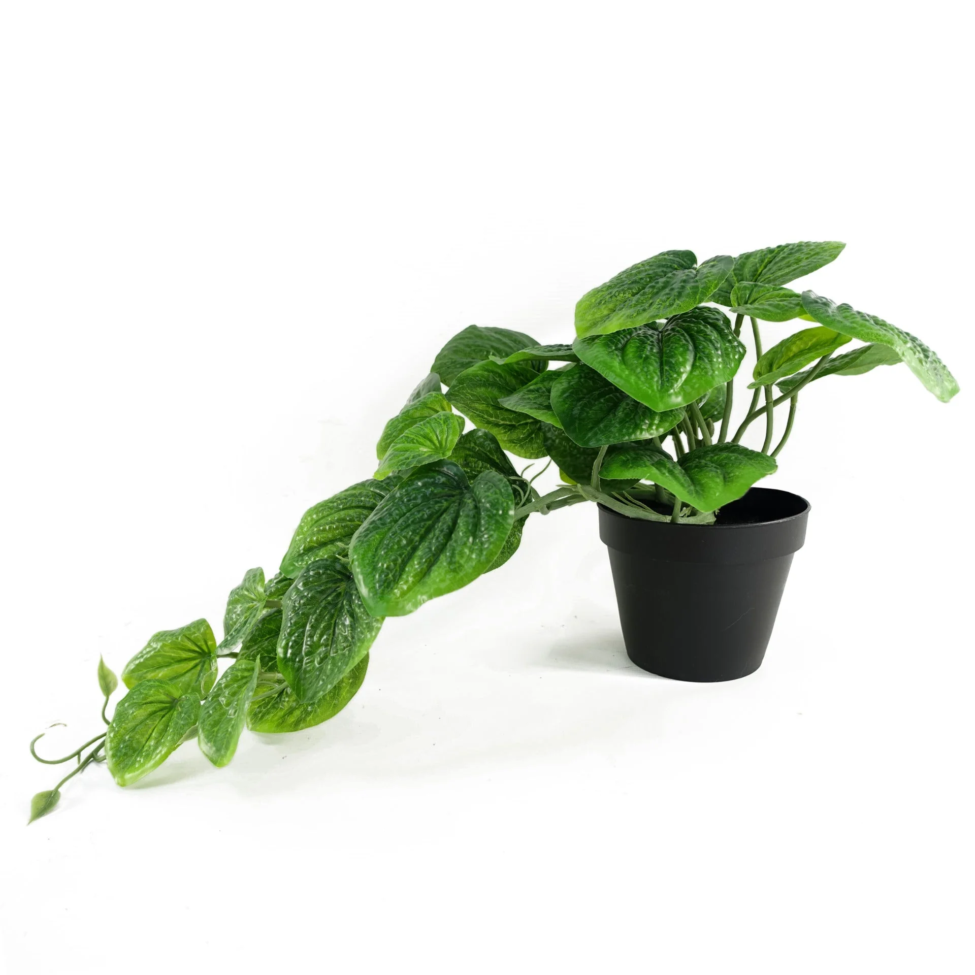 35cm Artificial Trailing Green Potted Pothos Plant - Image 4