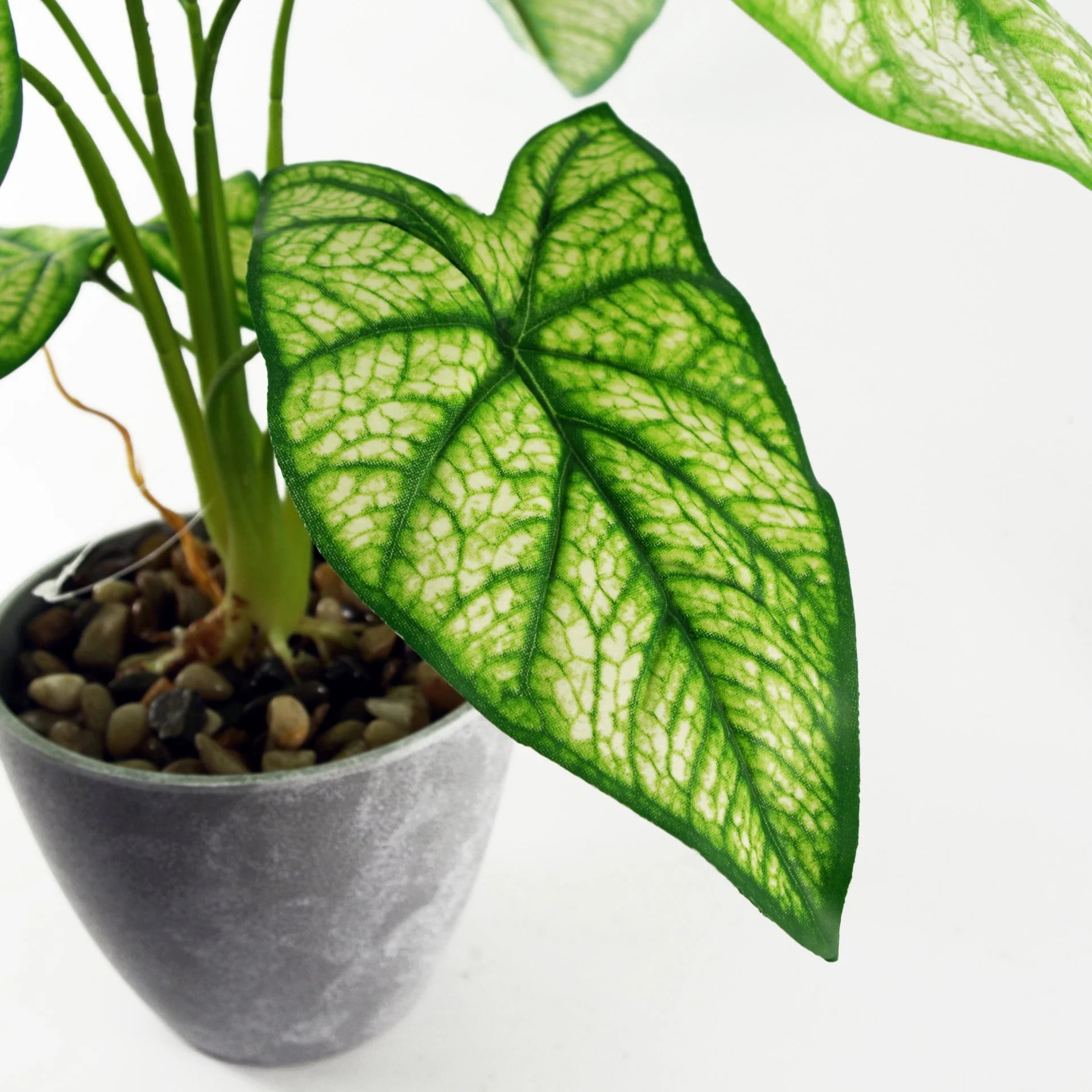 40cm Artificial Taro in Decorative Planter - Image 2