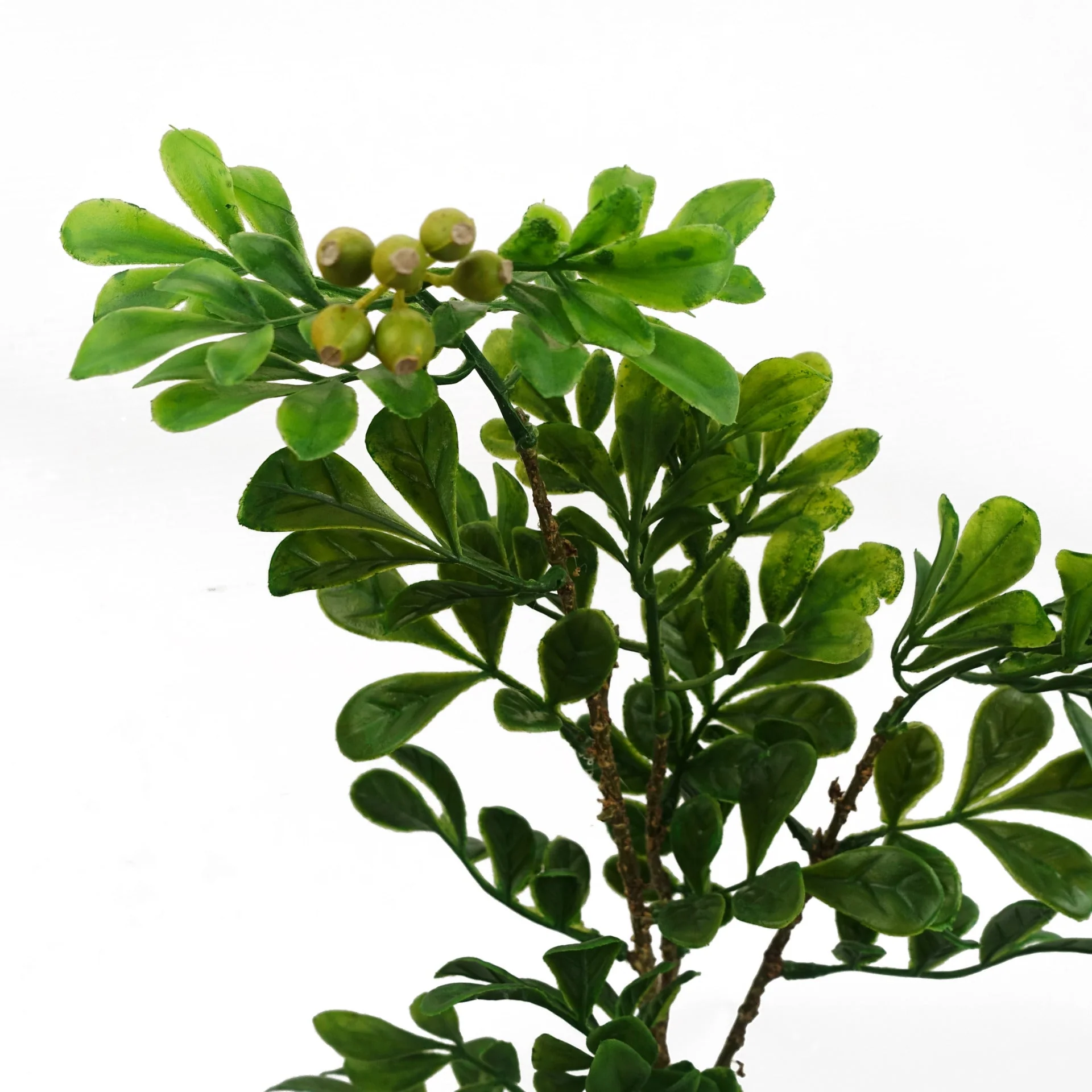 45cm Artificial Aglaia Odorata Bonsai Ficus Tree - Image 2
