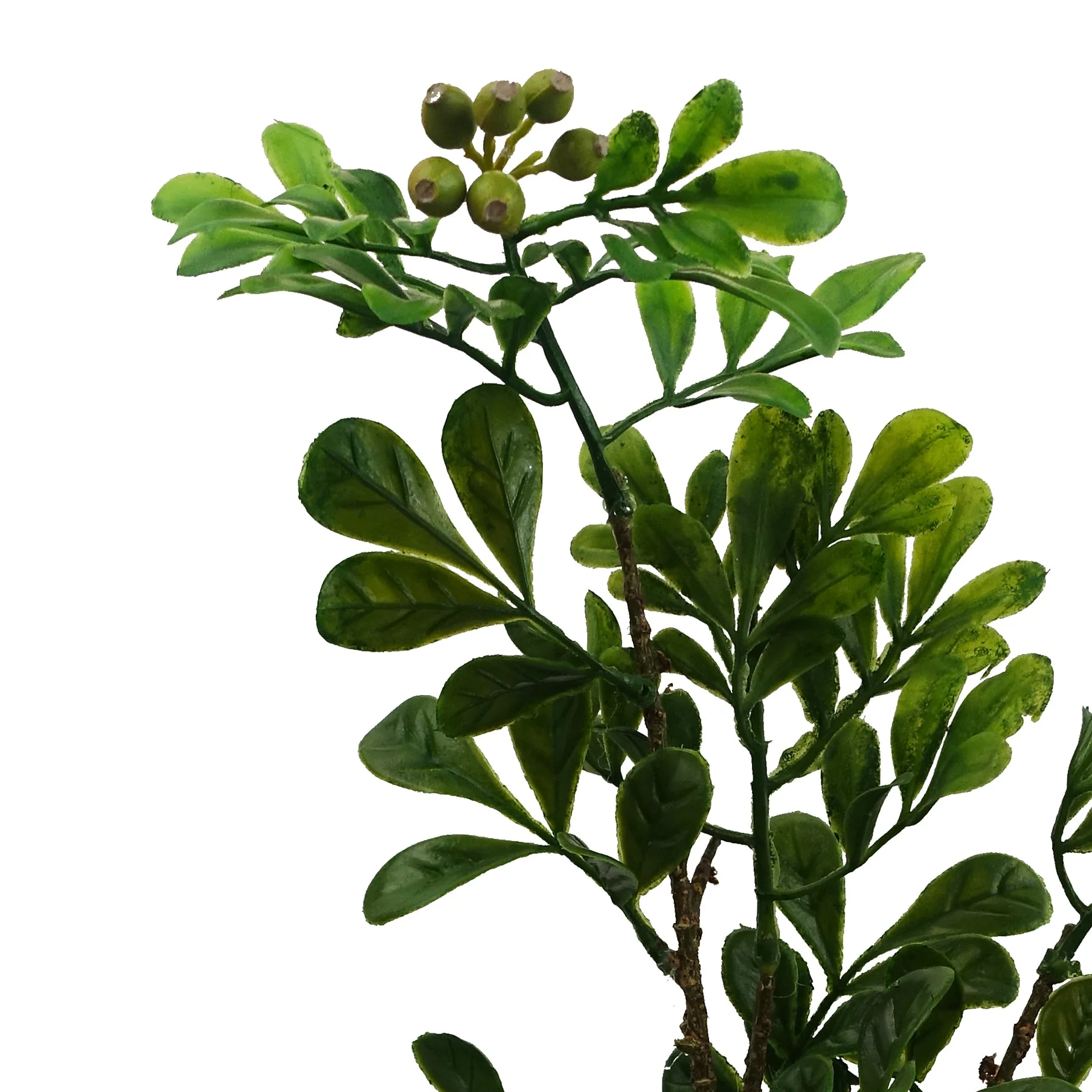45cm Artificial Aglaia Odorata Bonsai Ficus Tree - Image 4