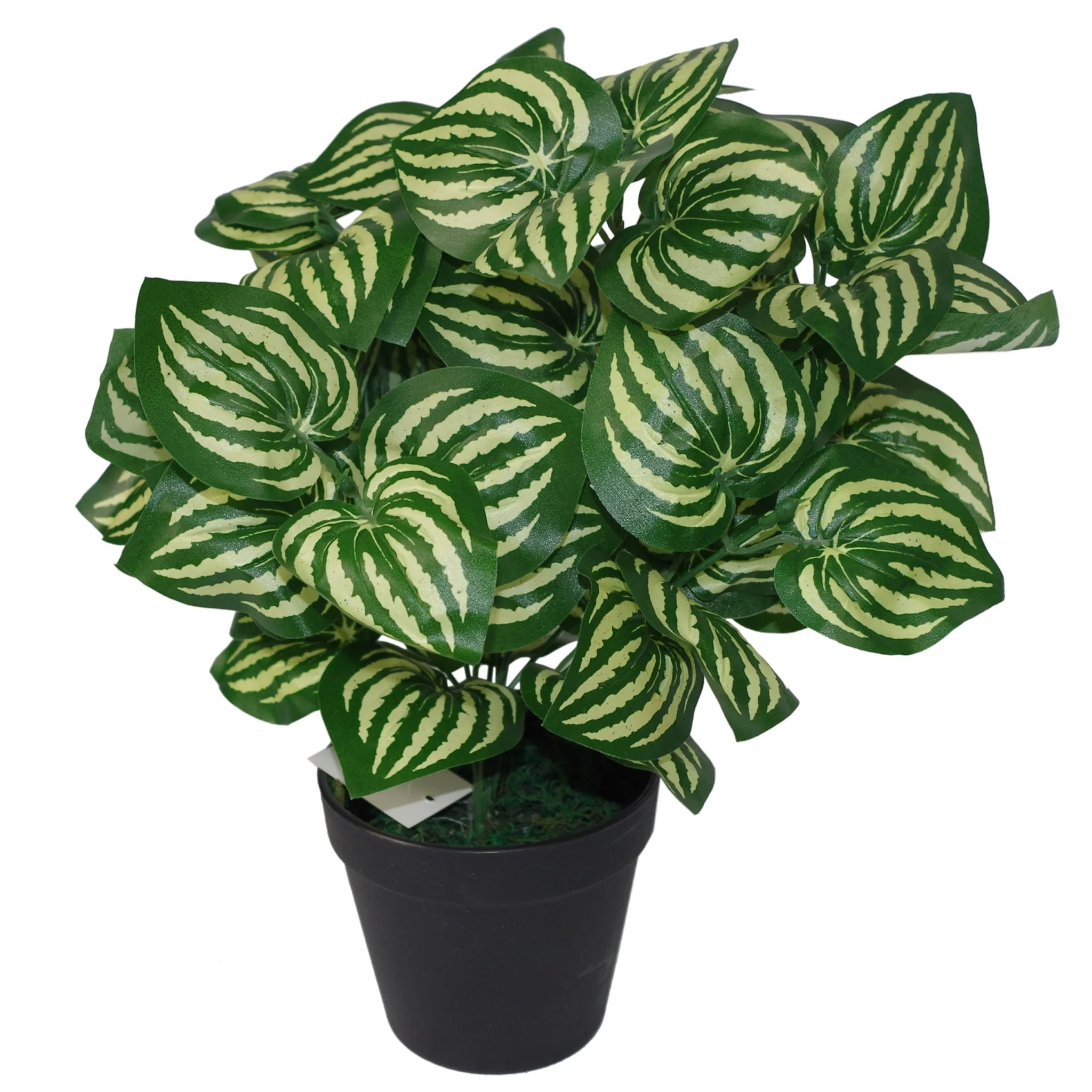 45cm Artificial Watermelon Style Leaves Plant - Image 3