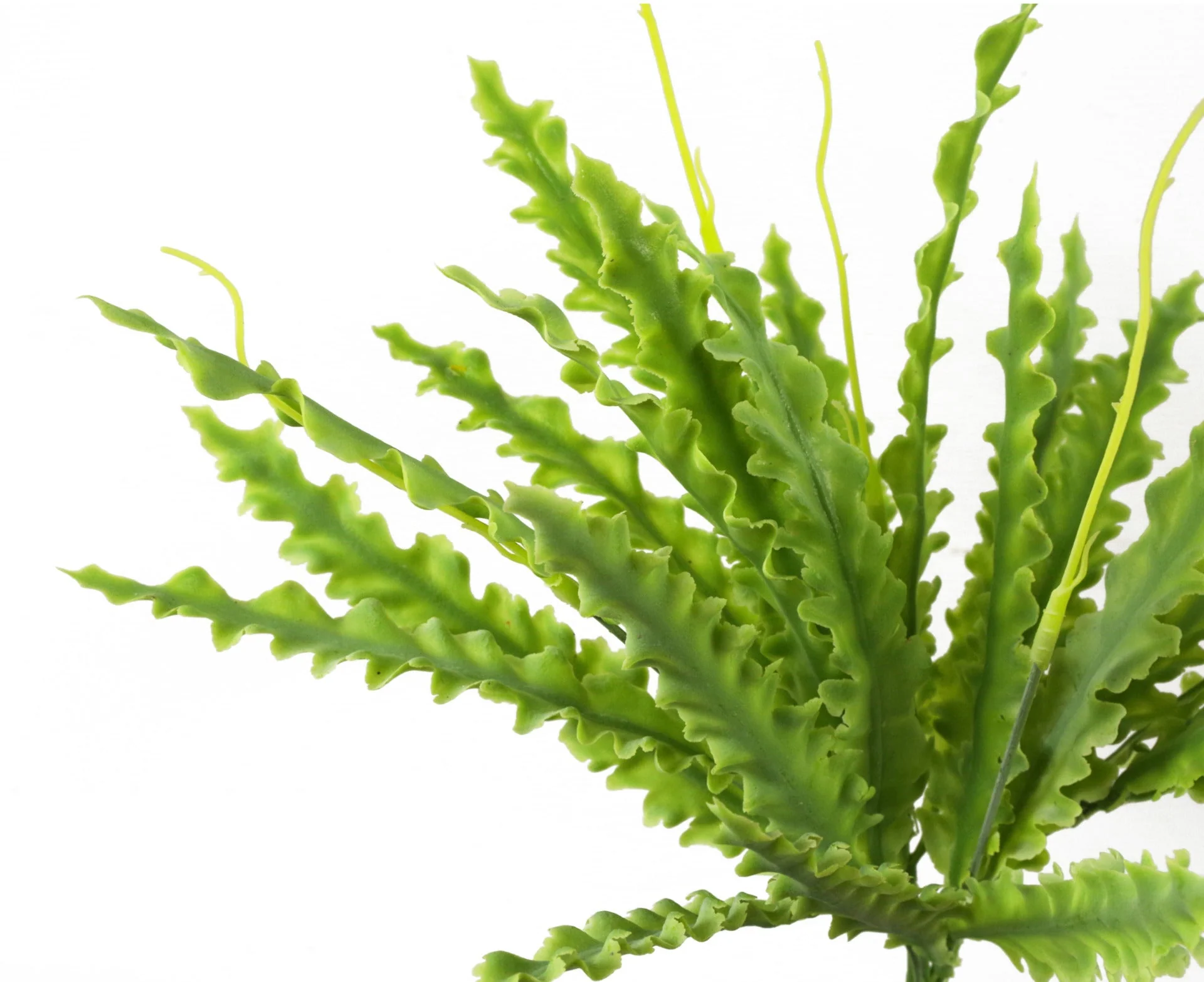 45cm Ceramic Planter With Stand And Artificial Fern Plants - Image 4
