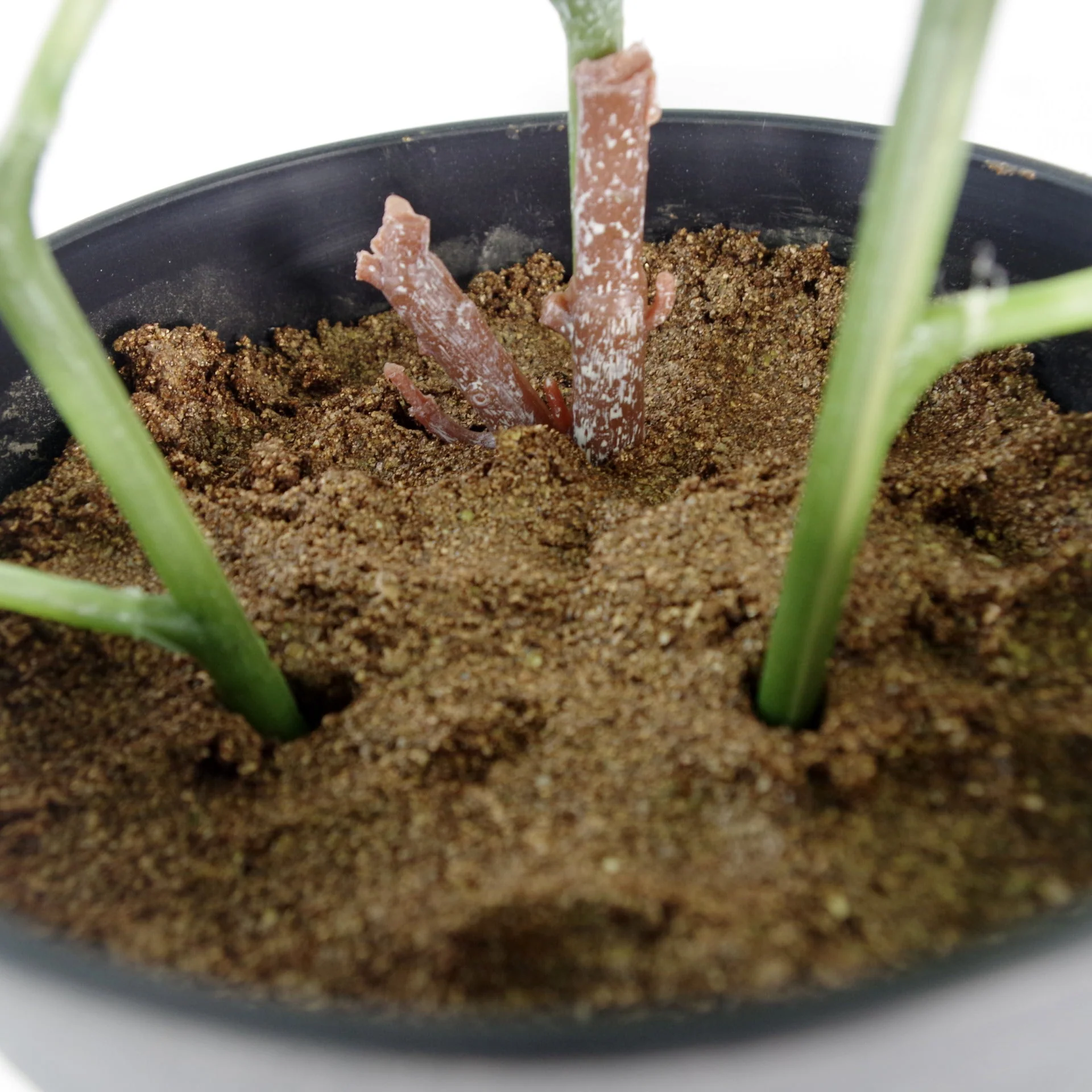 50cm Artificial Dhalia Plant Red - Image 4