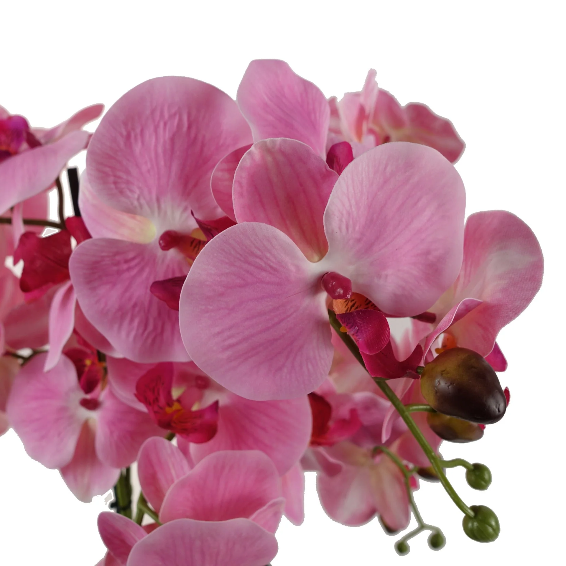 50cm Artificial Orchid with Glass Planter - Pink - Image 3