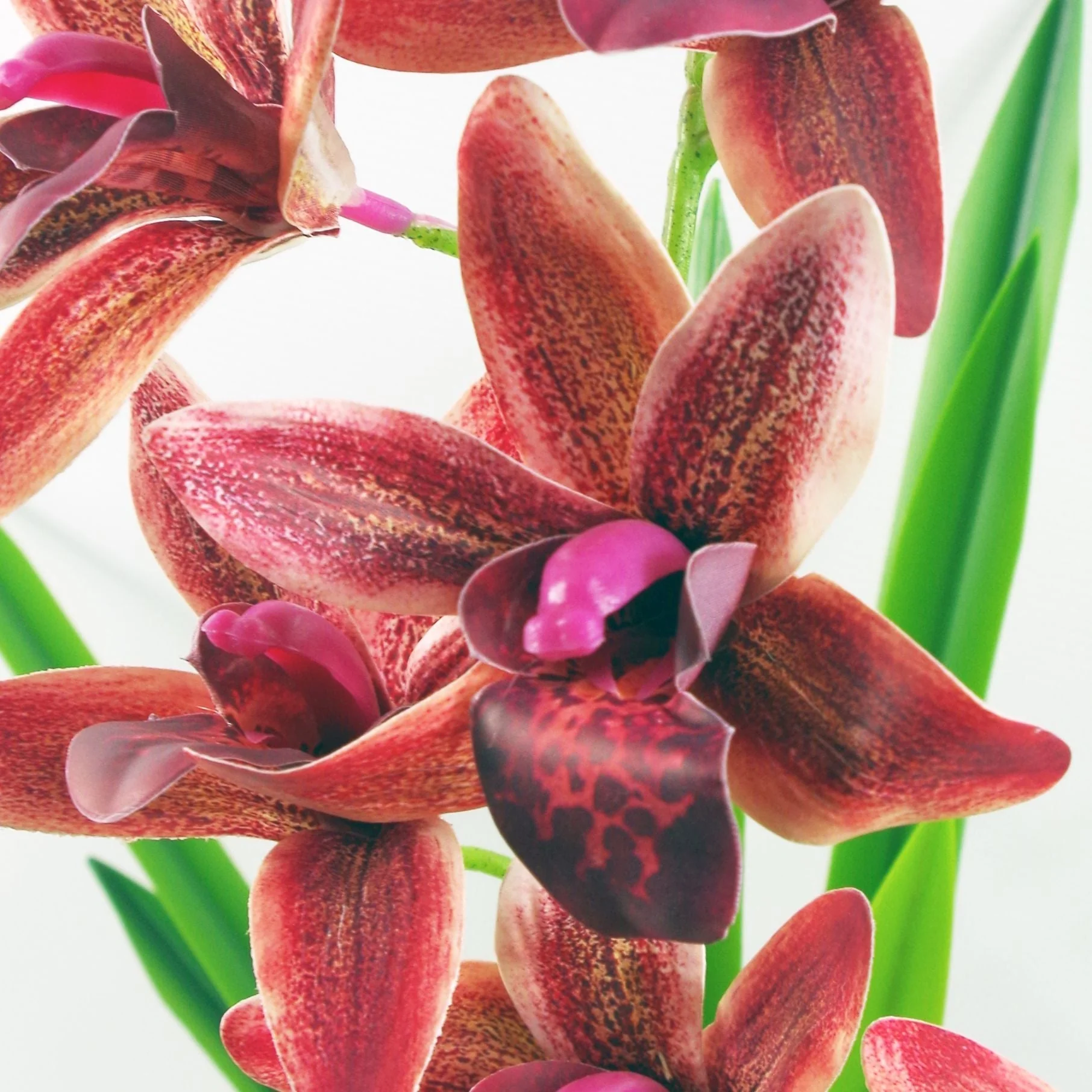 50cm Dark Pink Artificial Orchid in Ceramic Planter - Image 2