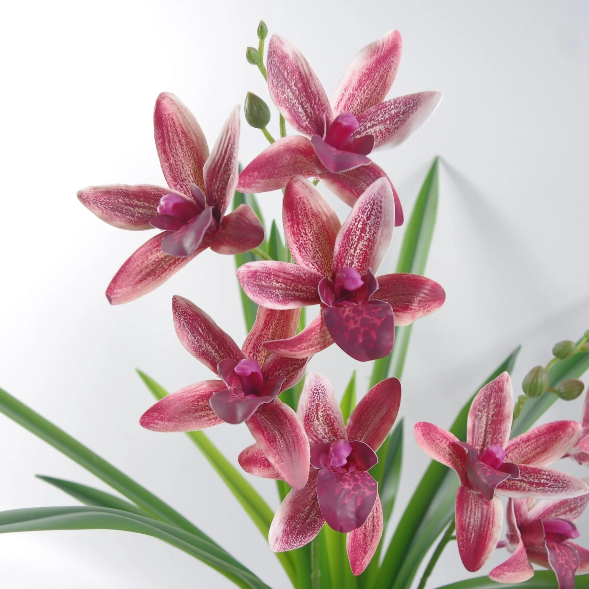 50cm Dark Pink Artificial Orchid in Ceramic Planter - Image 3