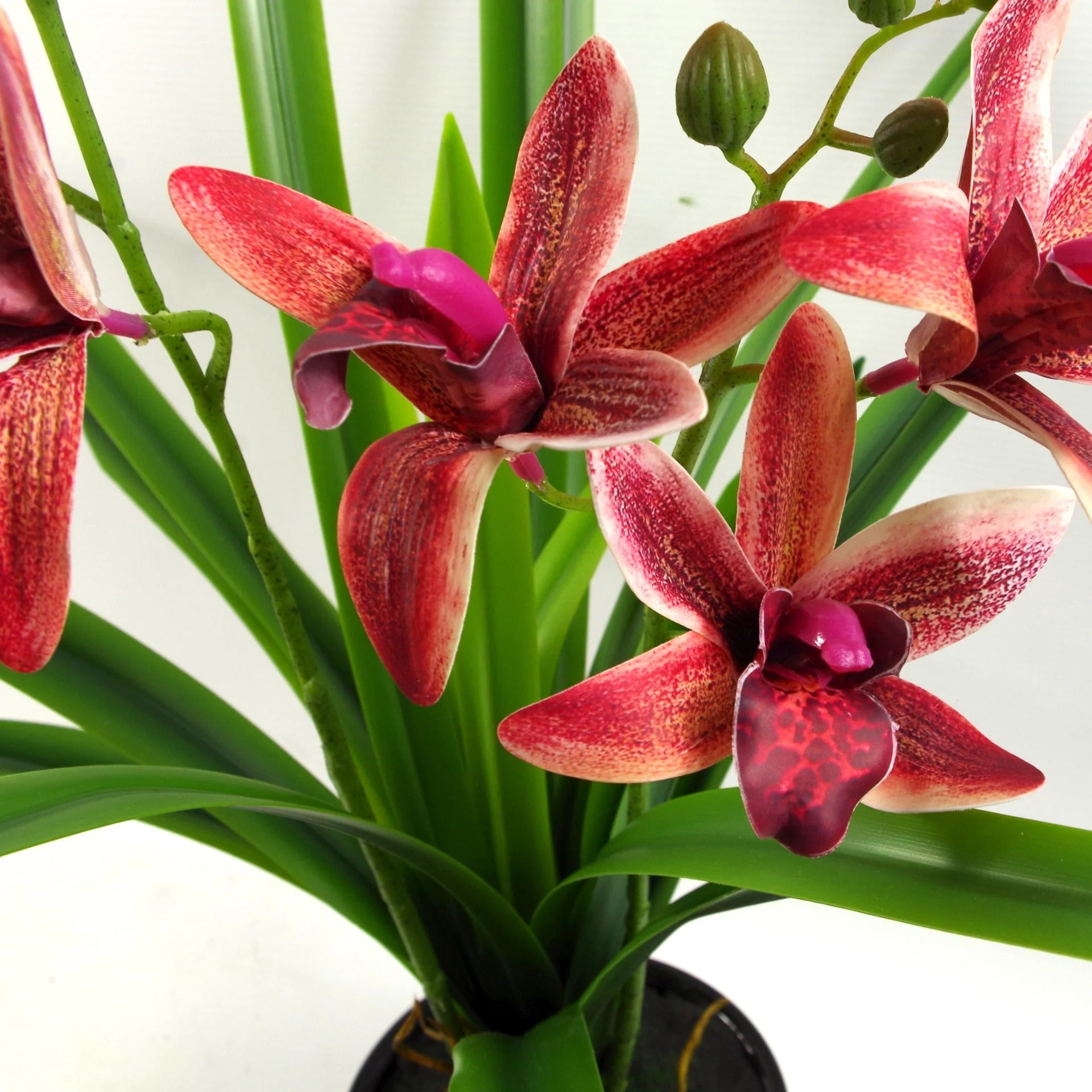 50cm Dark Pink Artificial Orchid in Ceramic Planter - Image 4