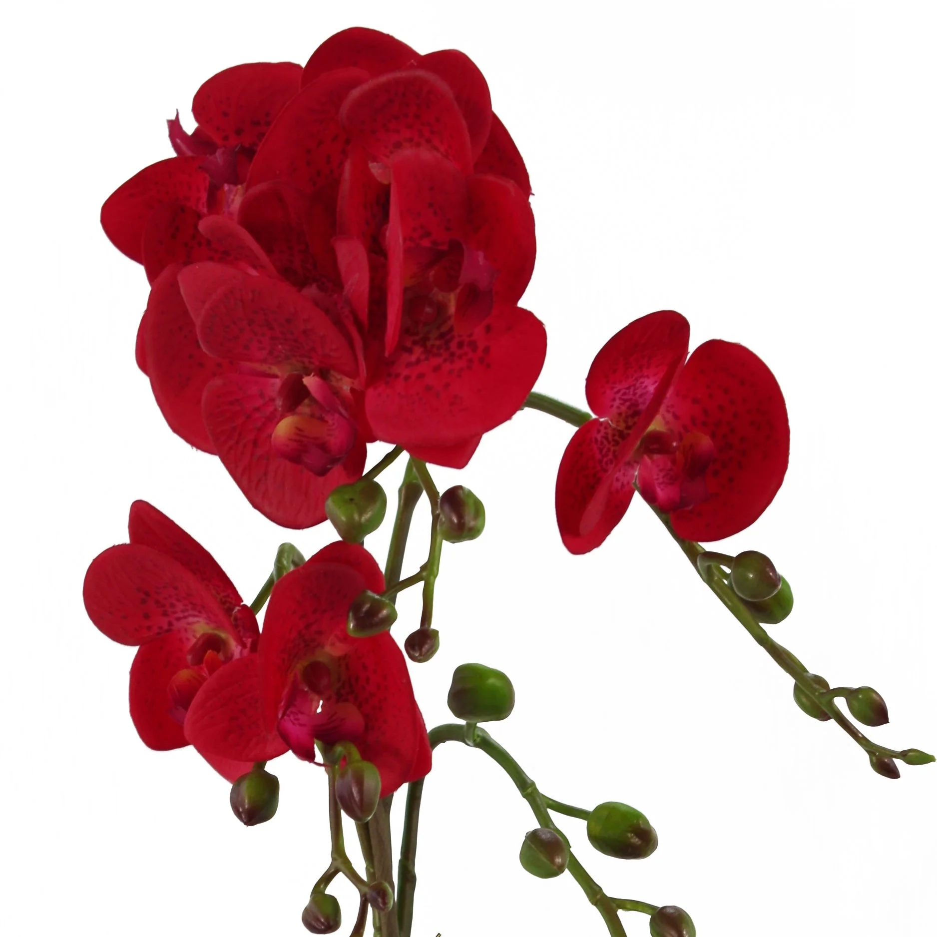 50cm Phalaenopsis Orchid Artificial - Red Leopard - Gold Pot - Image 2