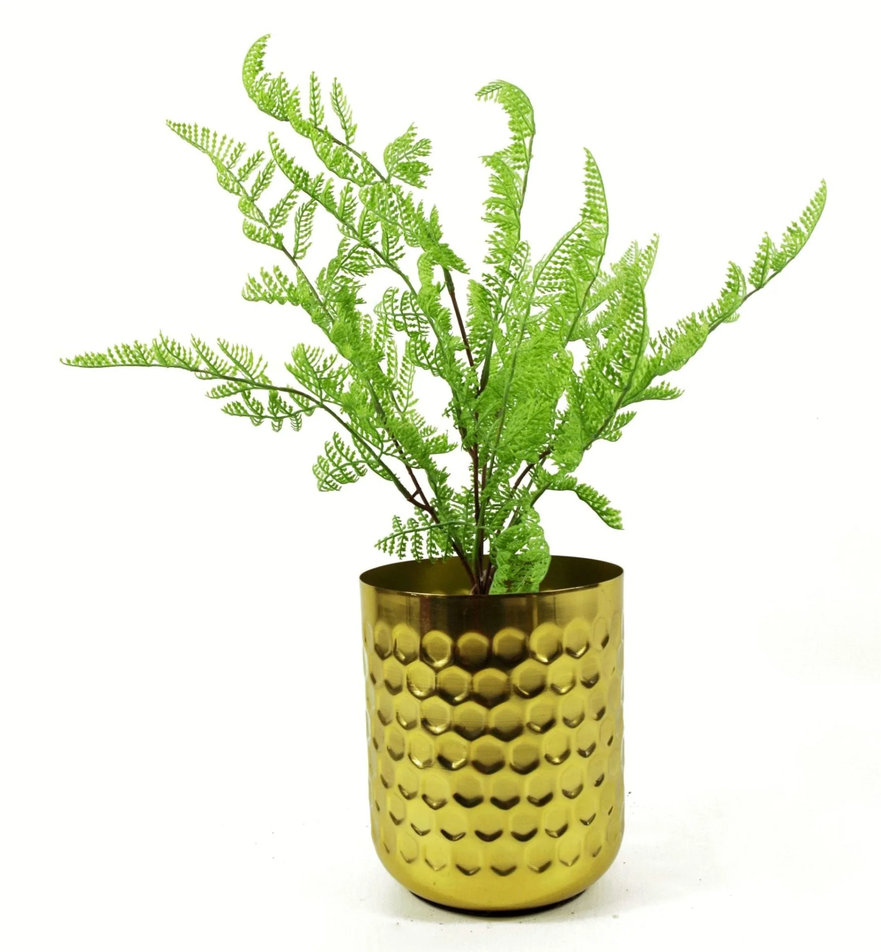 50cm Southern Wood Fern Bush Dark Green Plant - Image 2