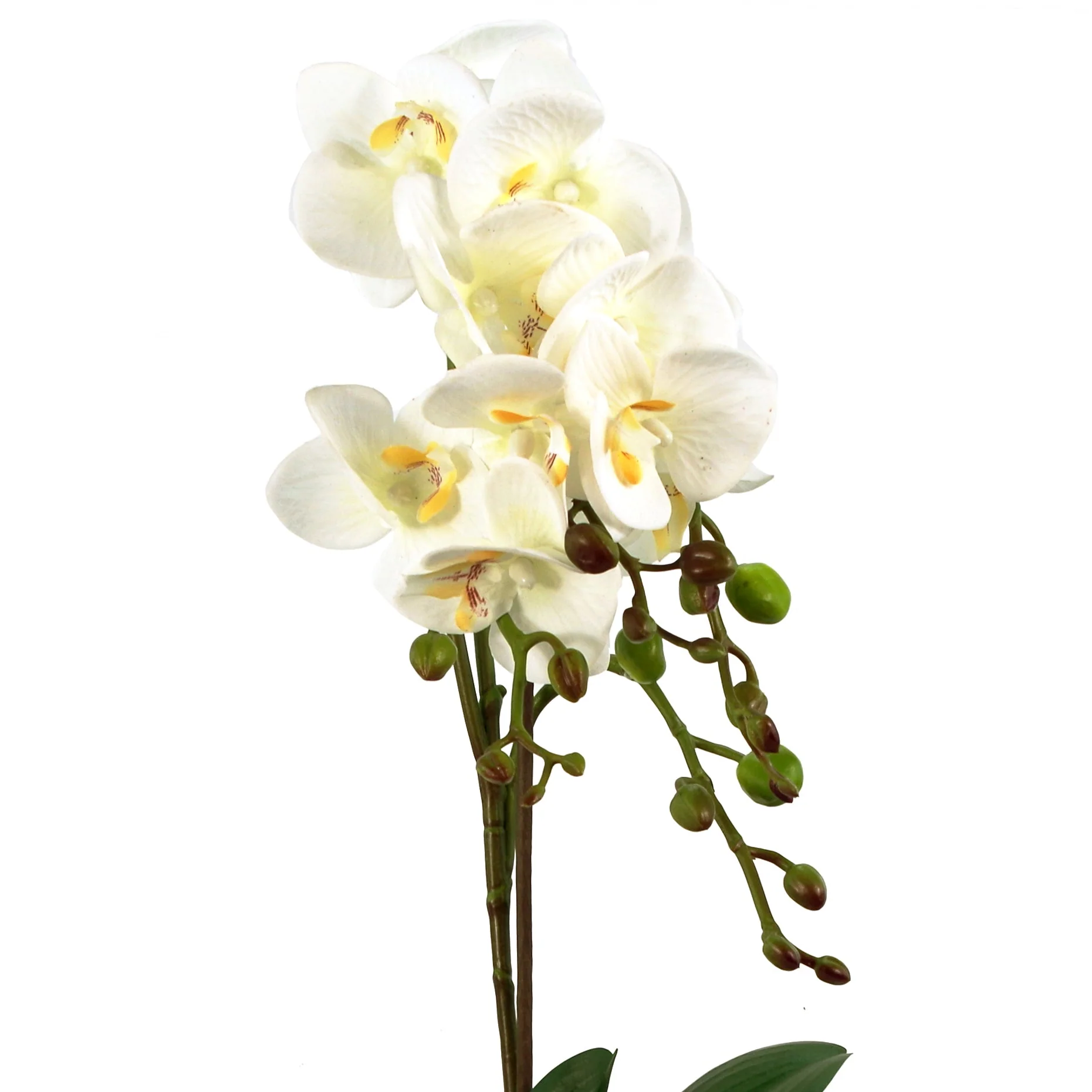 54cm Artificial Orchid Plant - White with Gold Pot - Image 2