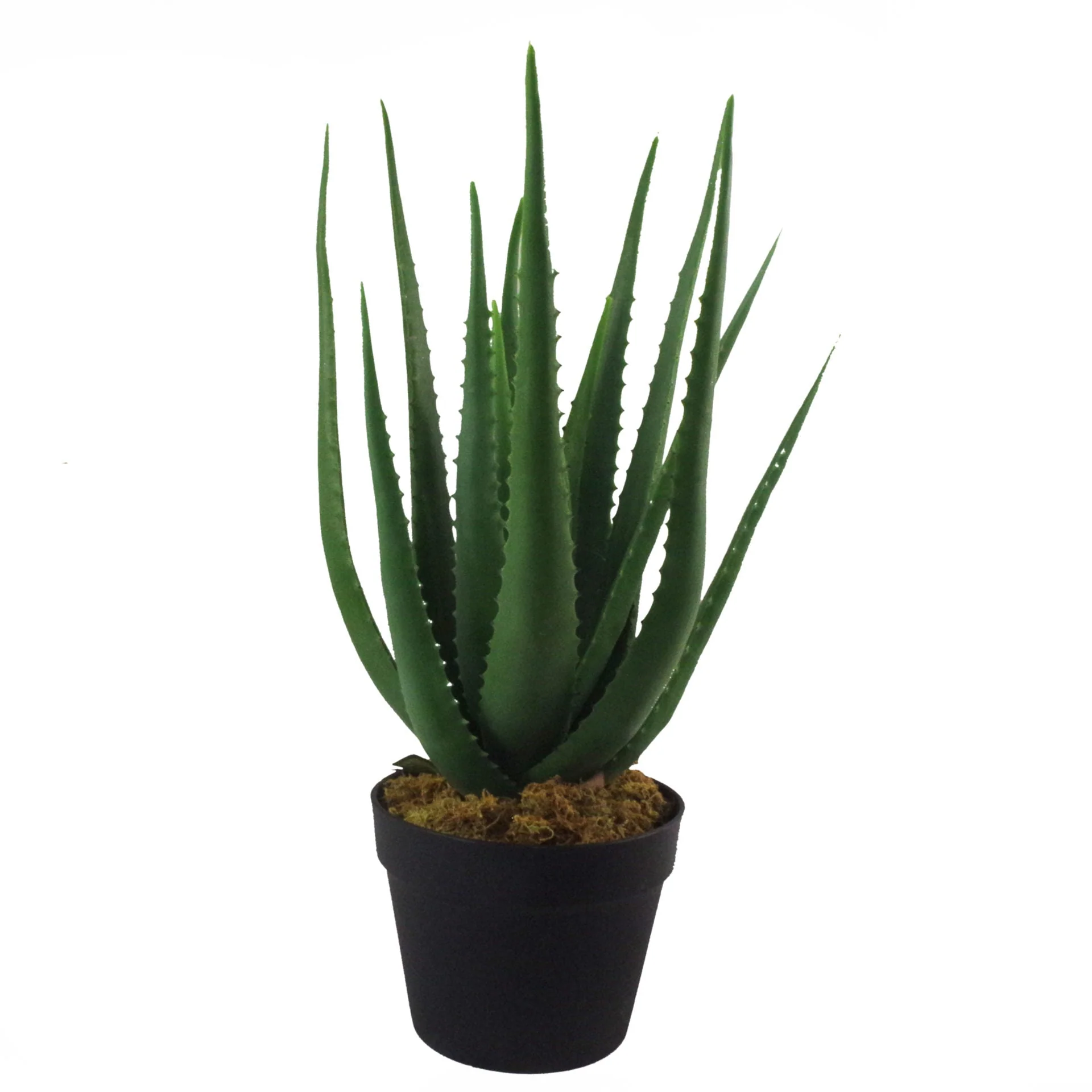 55cm Artificial Realistic Aloe Vera Succulent Plant with Silver Designer Planter - Image 2