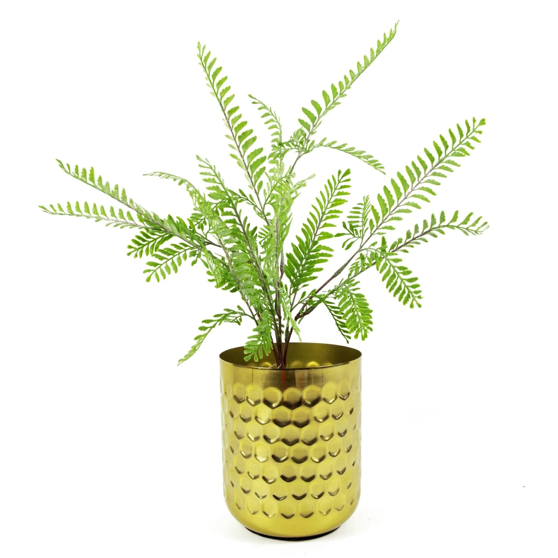 55cm Himilayan Maidenhair Fern Bush Light Green Plant - Image 3