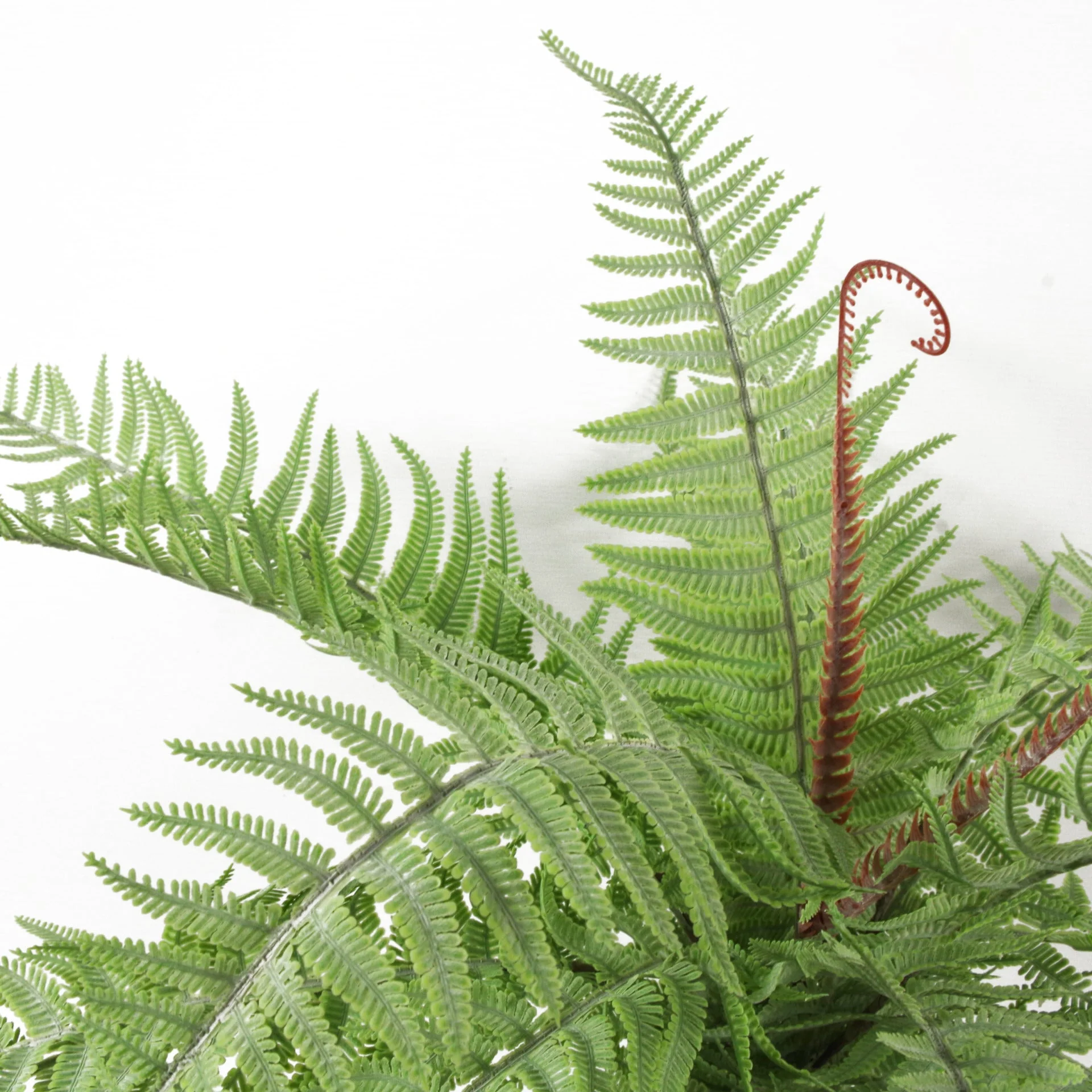 6 x 60cm Artificial Bushy Dixie Wood Fern Light Green Plant - Image 4