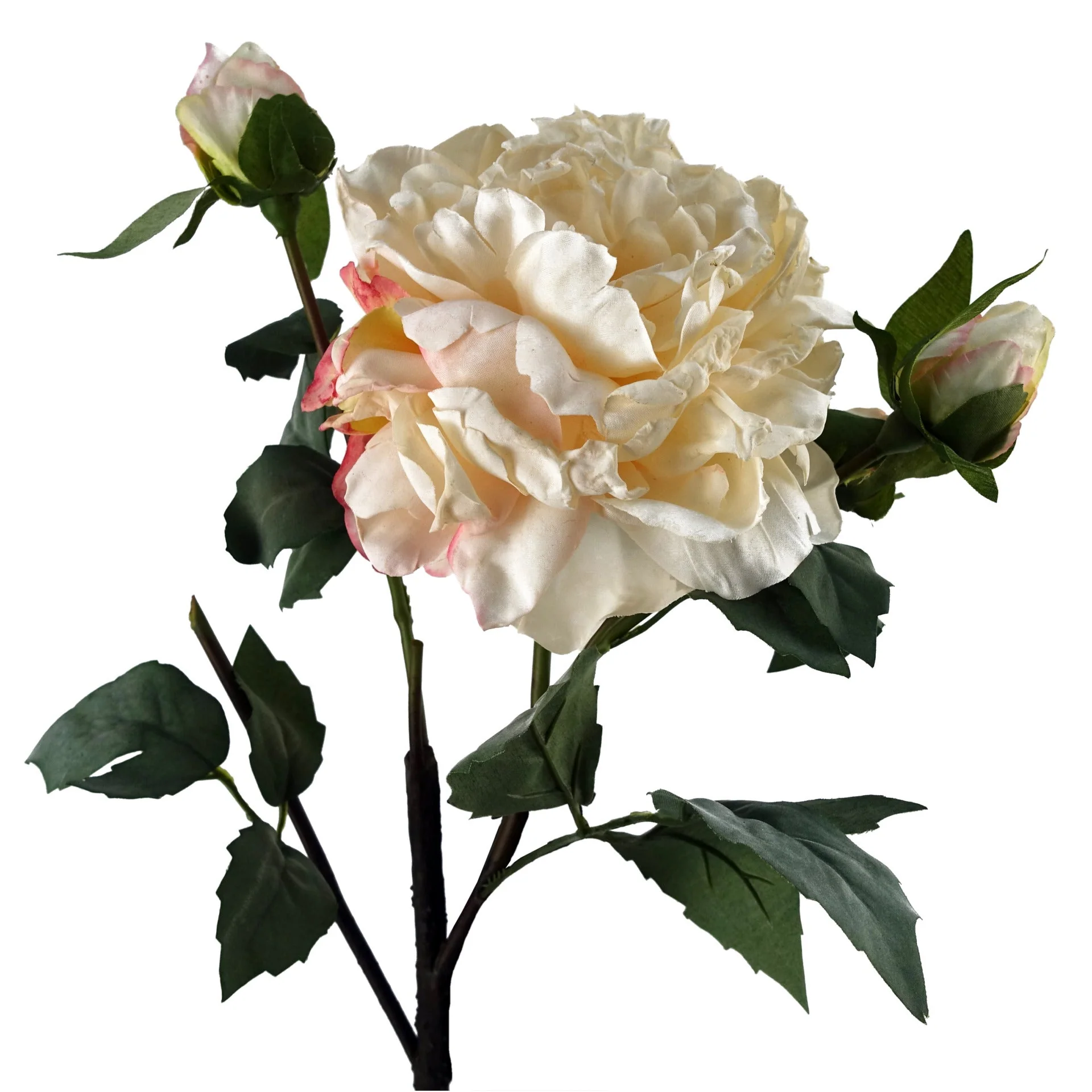 6 x 60cm Peony Artificial Flower Cream - Image 3