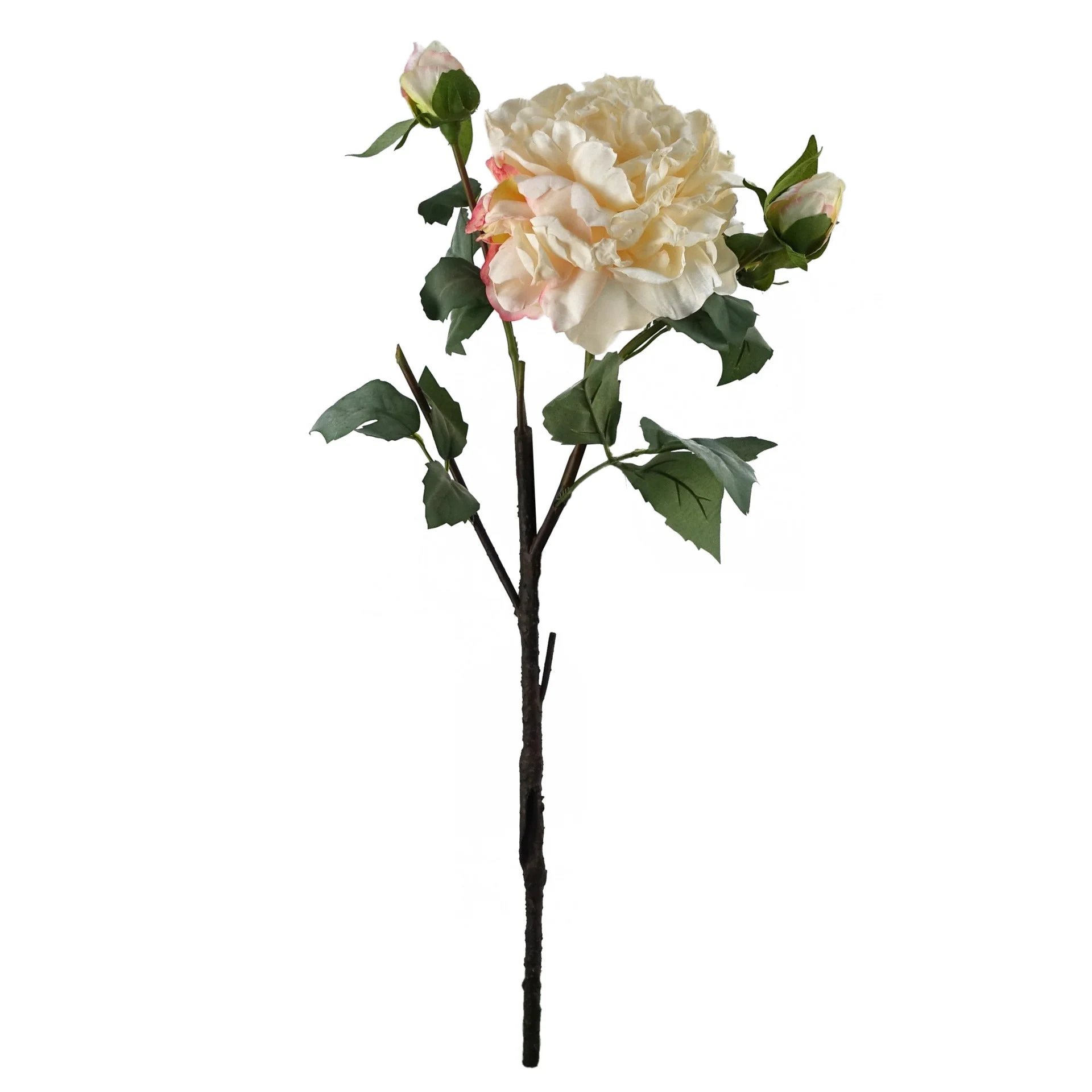 6 x 60cm Peony Artificial Flower Cream - Image 4
