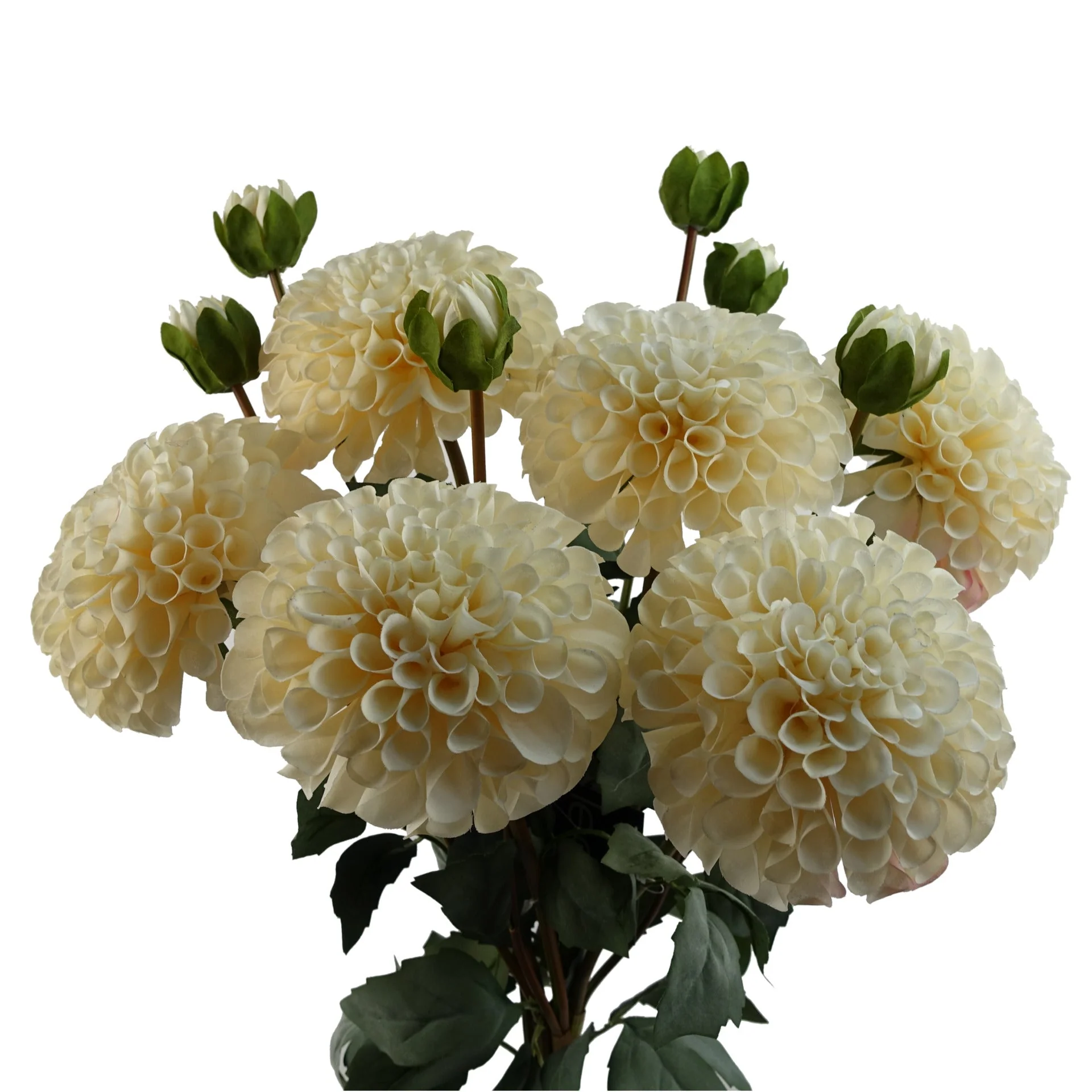 6 x 75cm Dhalia PomPom Artificial Flowers Cream - Image 2