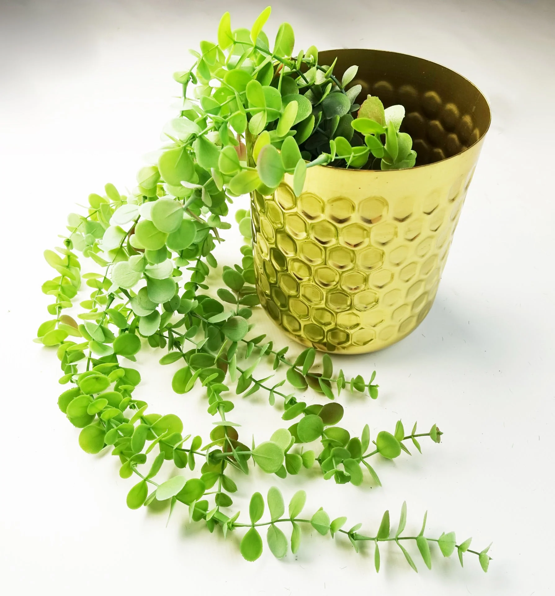6 x 80cm Artificial Hanging Trailing Eucalyptus Plant - Image 4