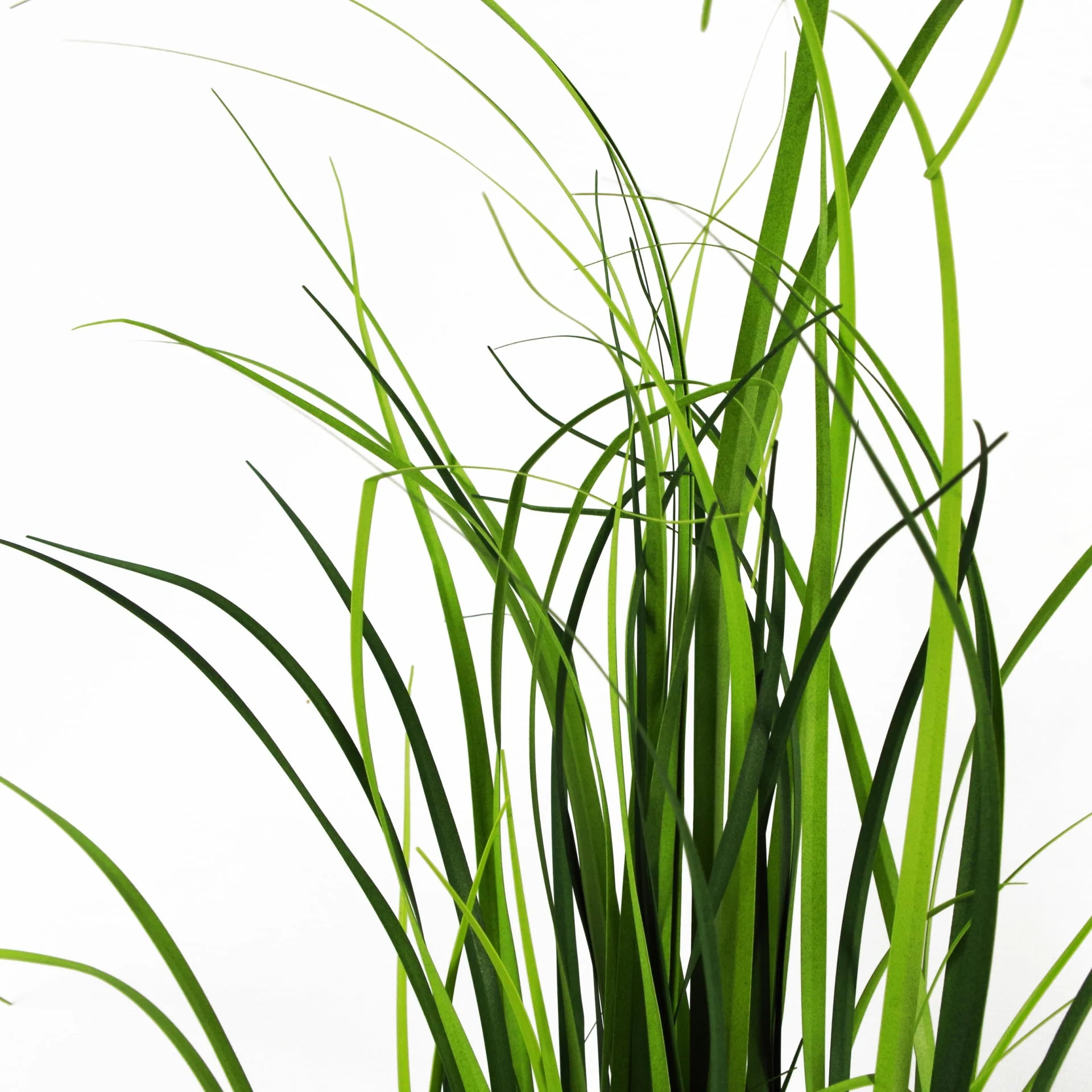 60cm Artificial Grass Plant With Green Ceramic Planter - Image 4